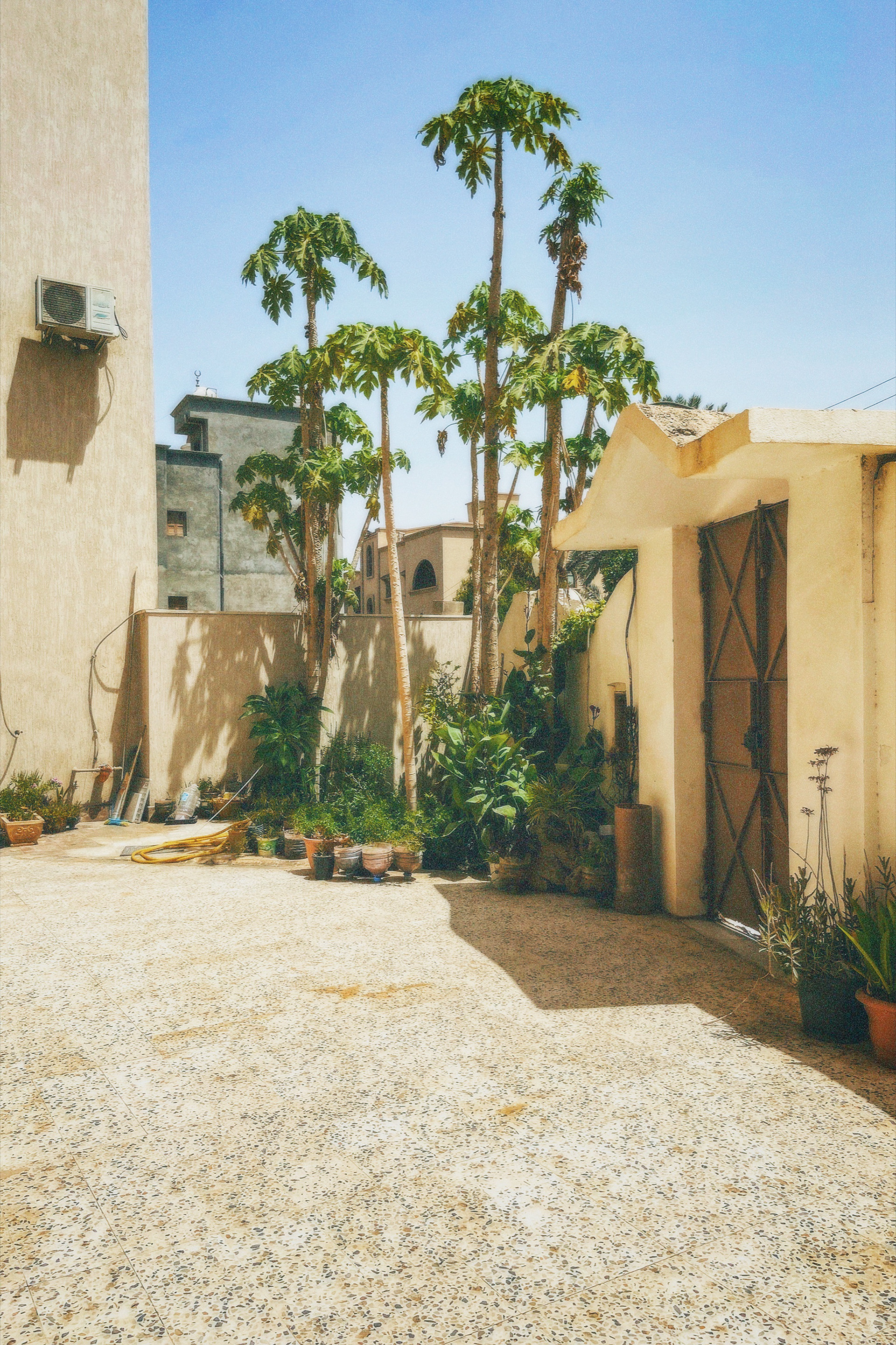 The gates of Souk el Juma.