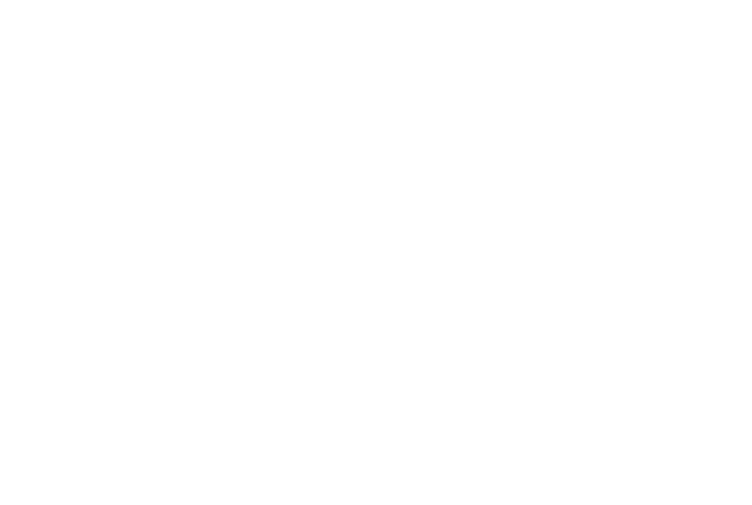 Simon Volz