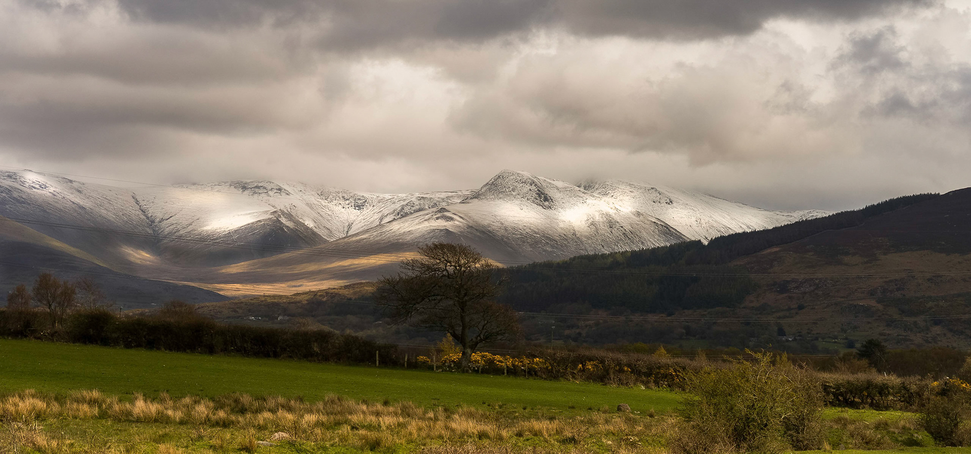 Snowdonia View