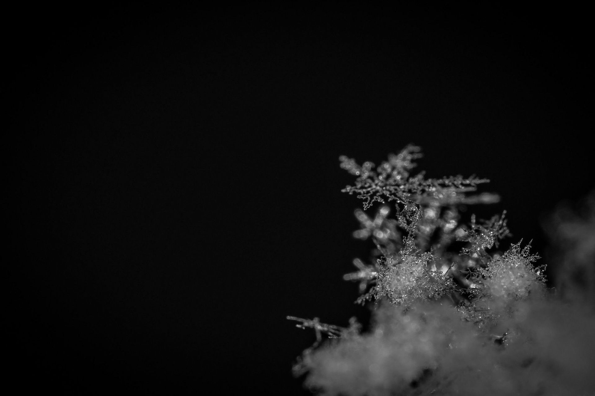 Ice