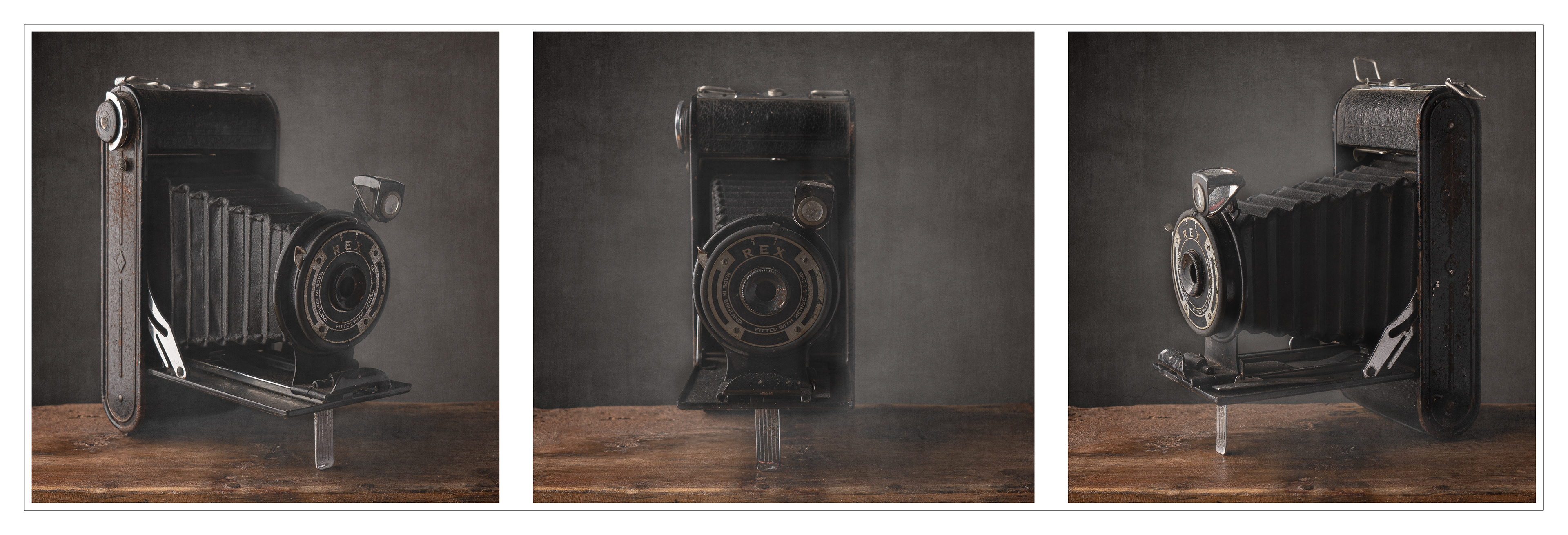 Vintage Camera Triptych