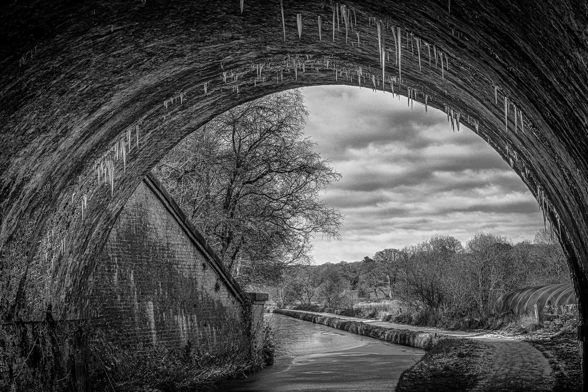 Icicles on the Caldon Canal