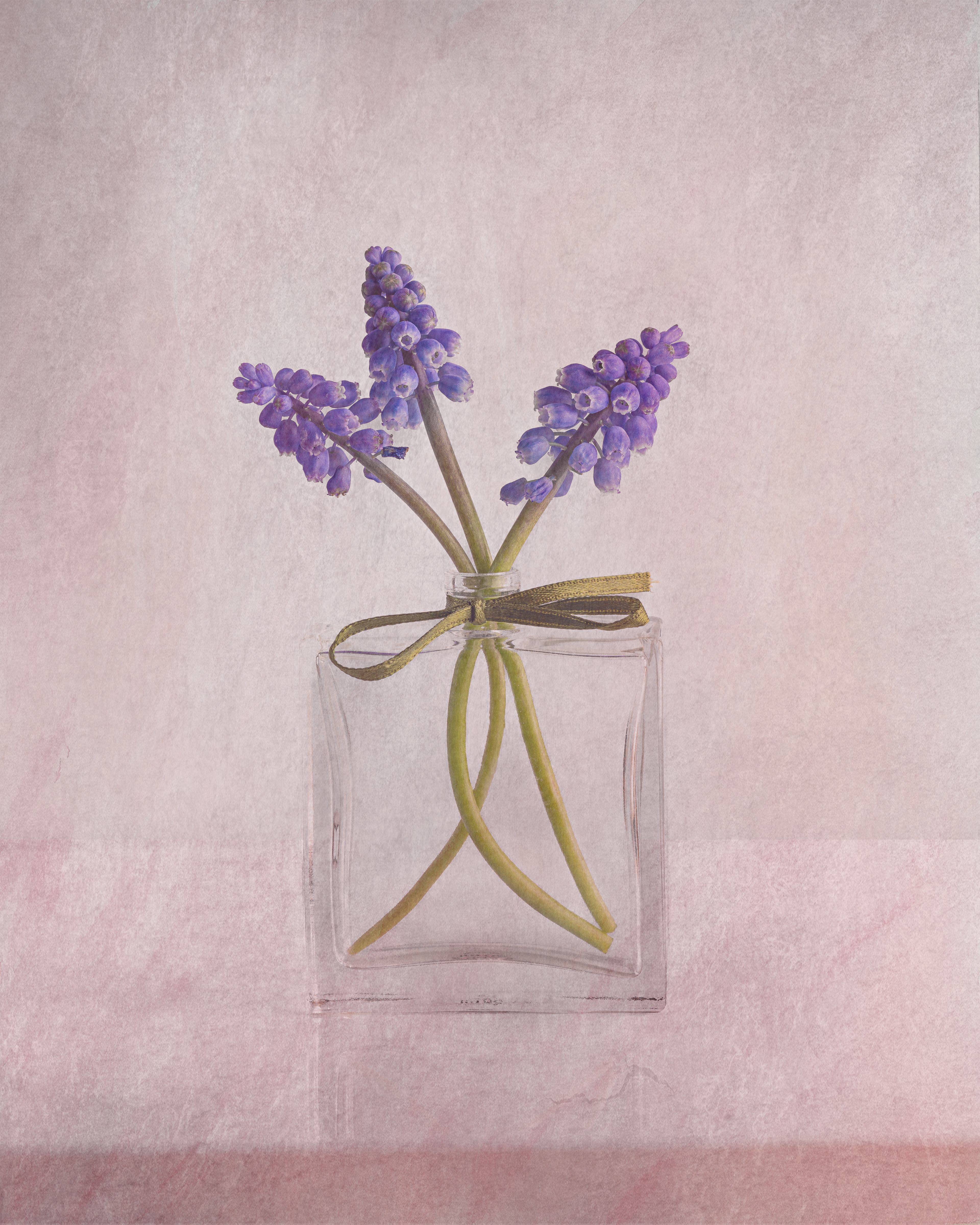 Grape Hyacinth in bottle