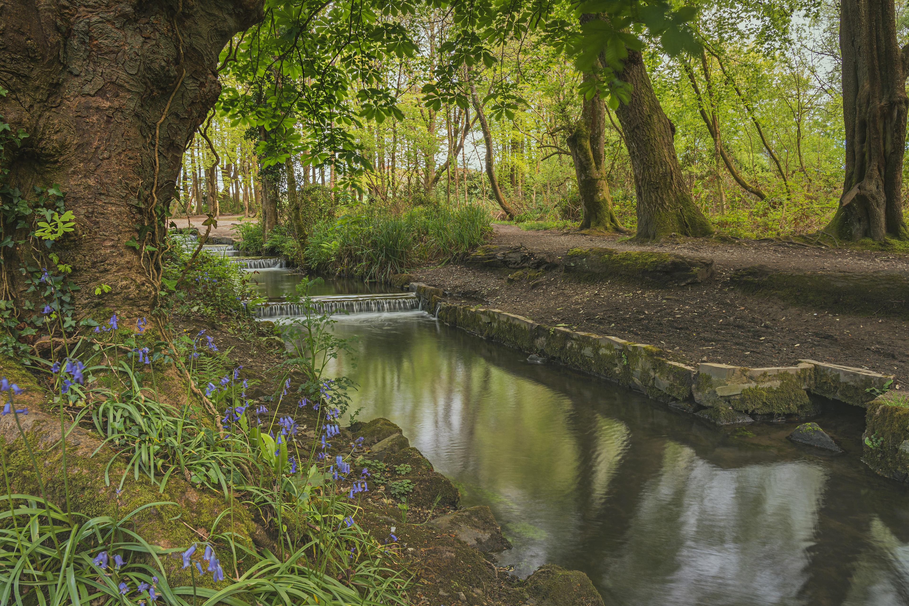 Tehidy Country Park