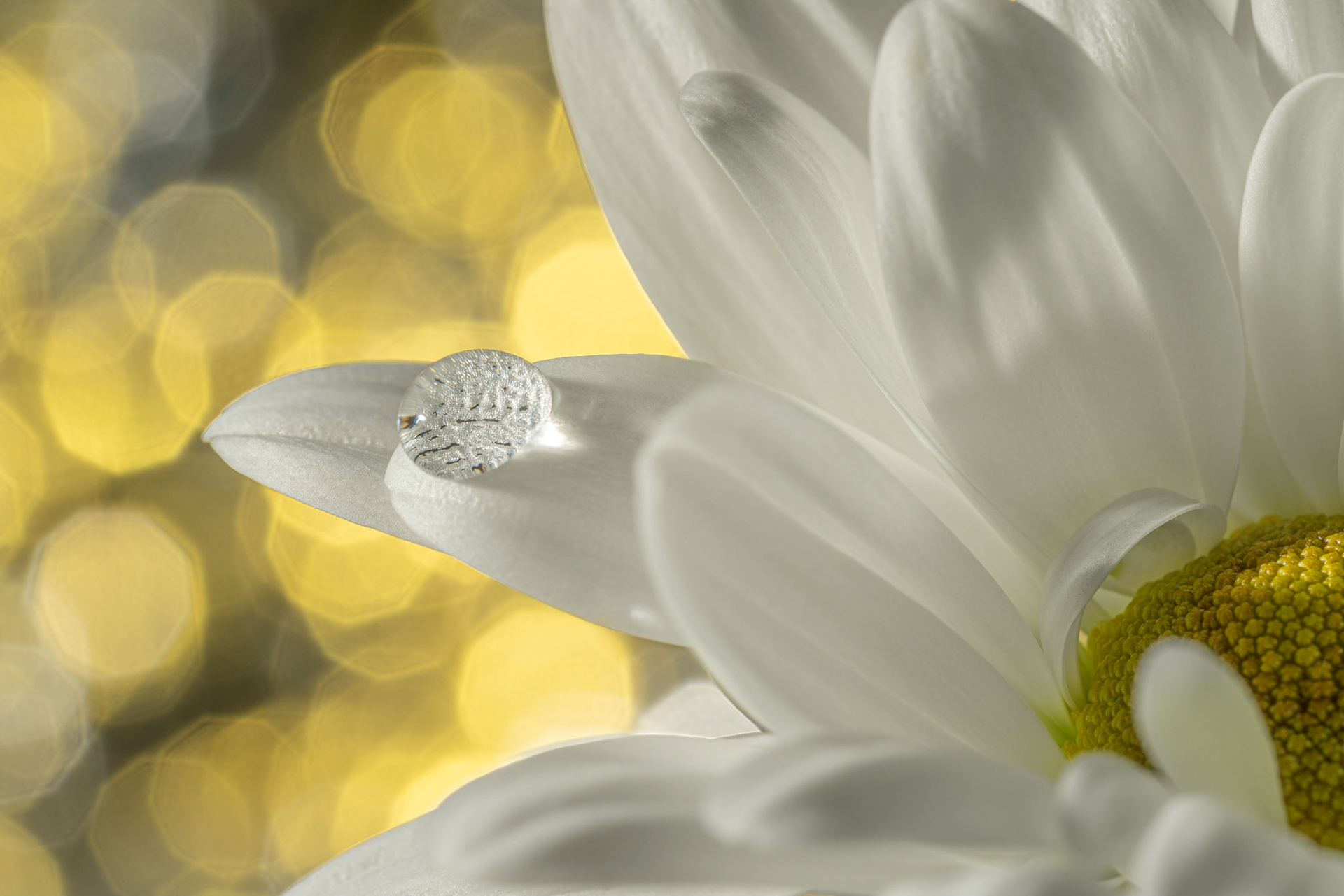 Water droplet