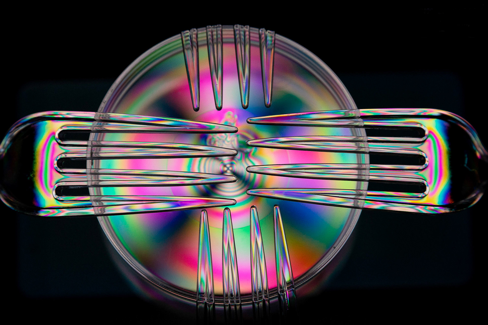 Forks