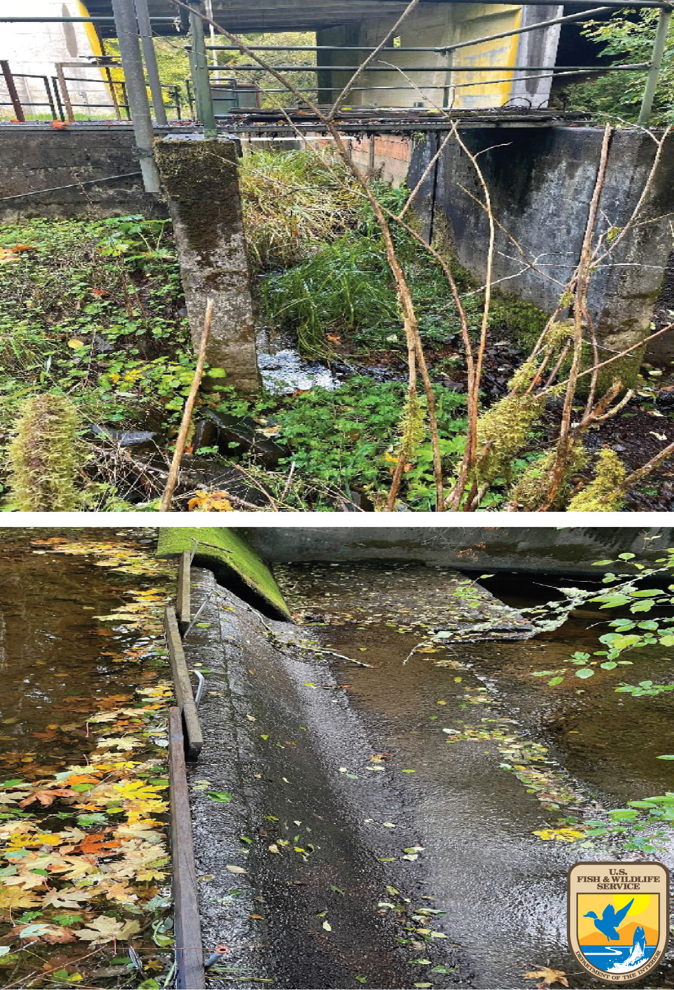 Prior to Restoration: Crest of the Diversion Dam 3 (above) and dam infrastructure to be decommissioned (below).
