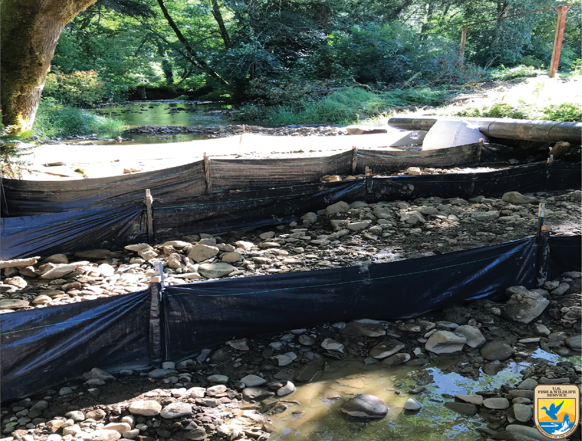 During Restoration: Downstream containment consisted of a coffer dam (above photo view), 3 layers of sediment containment, the fish block net signaling the end of the fish exclusion zone, and the water diversion return.