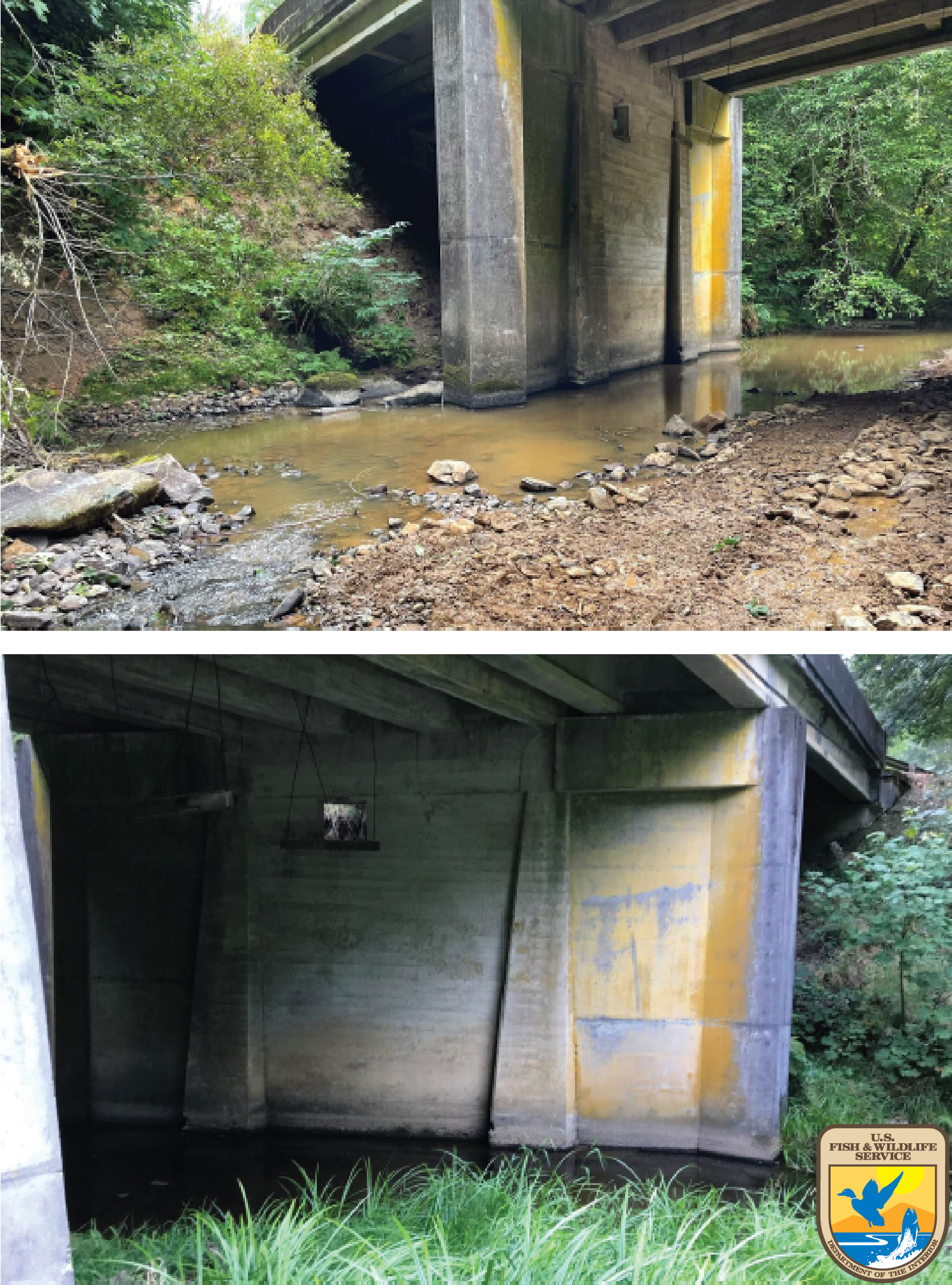 202 Abutment Prior to Restoration in August 2022. Above: Looking downstream. Below: Looking upstream.