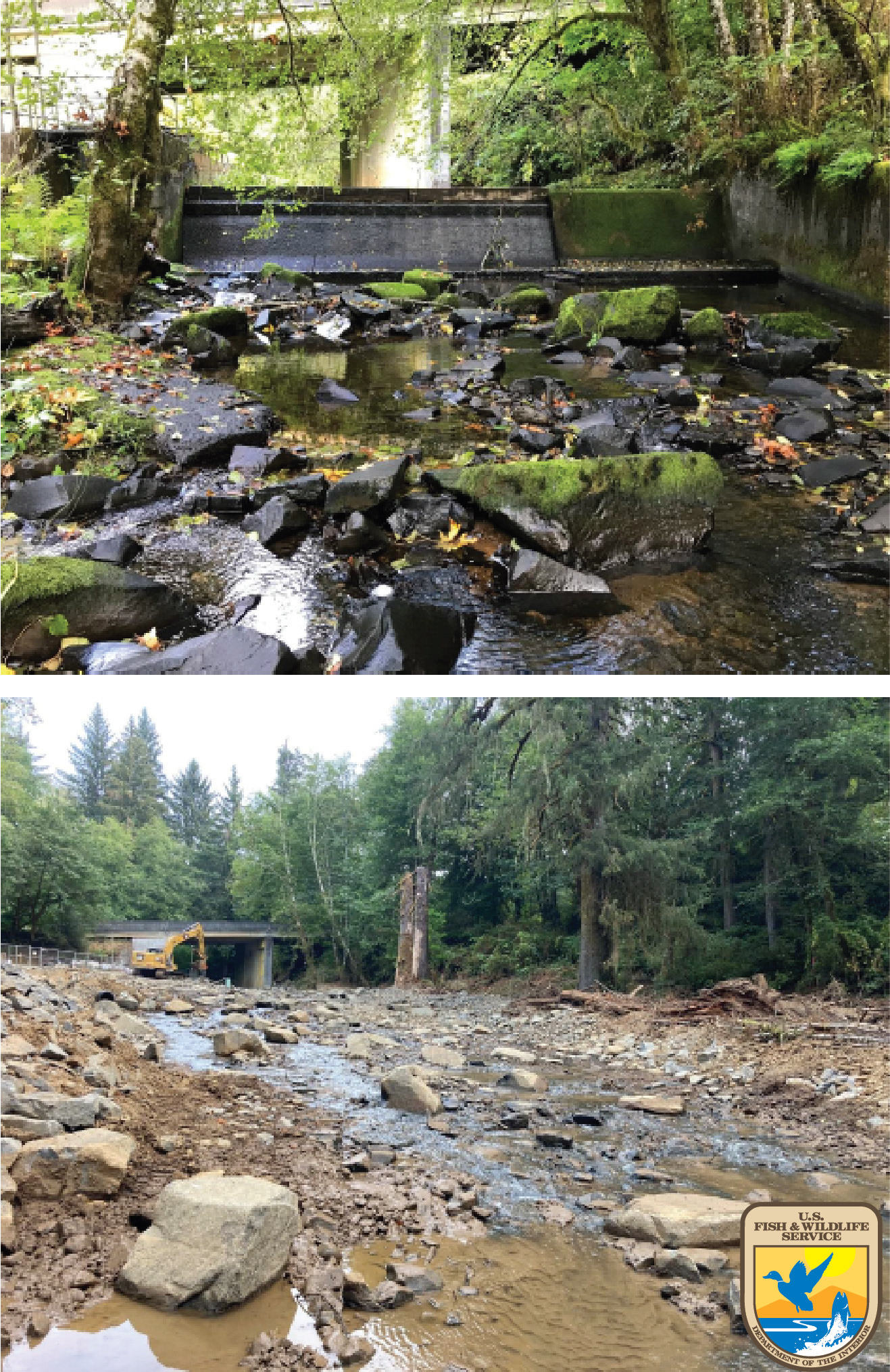Fish Passage Restoration before (above photographed on October 2021) and after (below photographed on September 14, 2022).