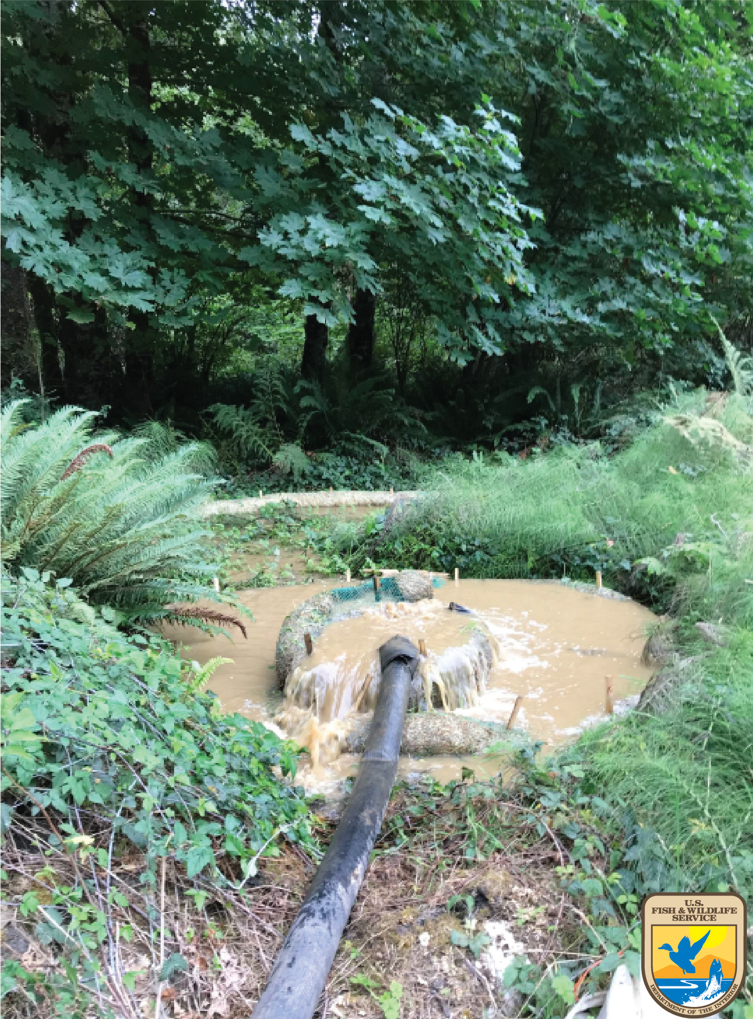 During Restoration: Turbidity control measures during power washing fine materials into streambed mixture also included pumping ‘construction’ water (water used to jet fines into streambed) into the adjacent wooded uplands to filter it.