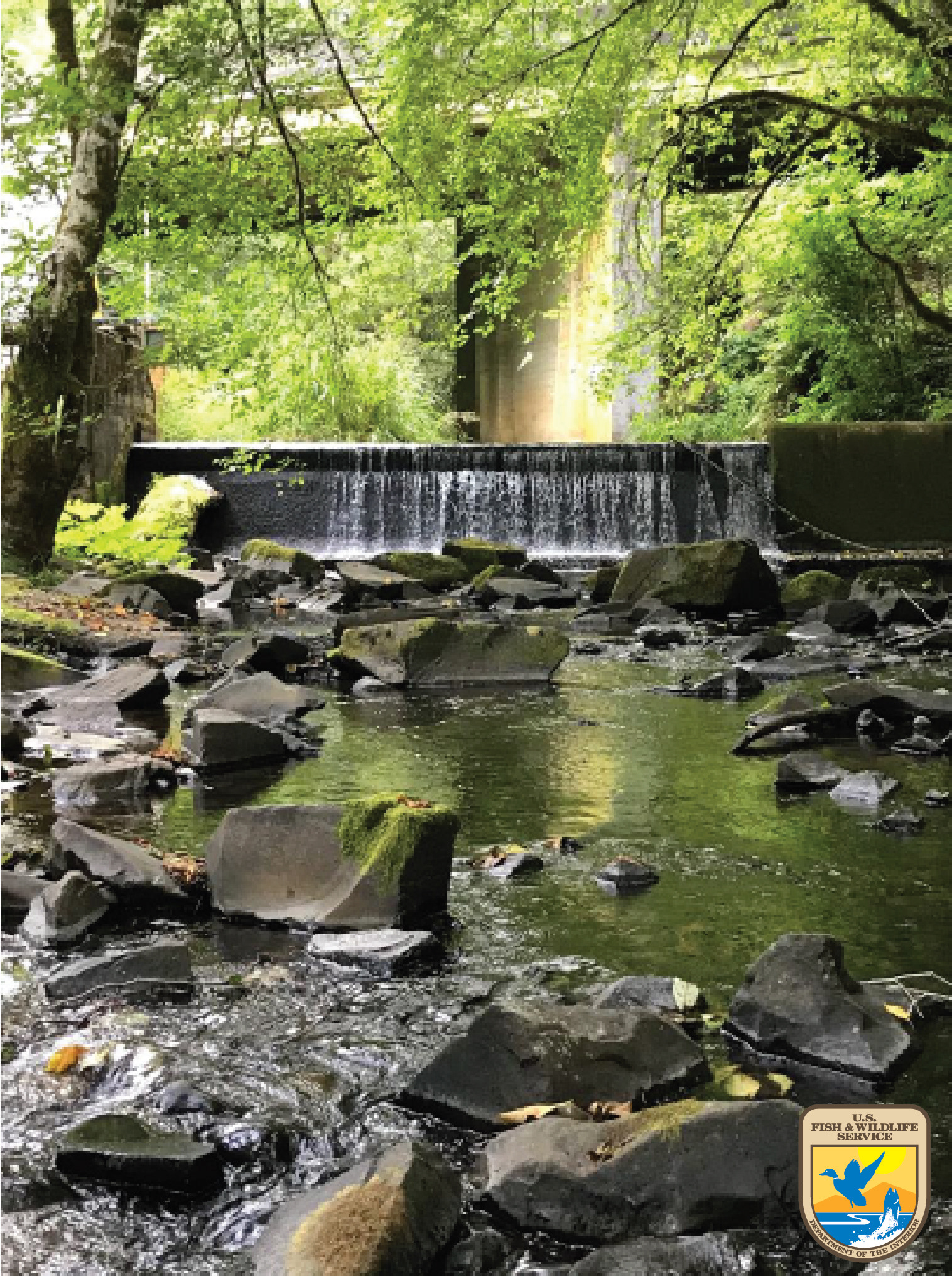 Prior to Restoration: Diversion Dam 3 with ODOT 202 abutment in the background.