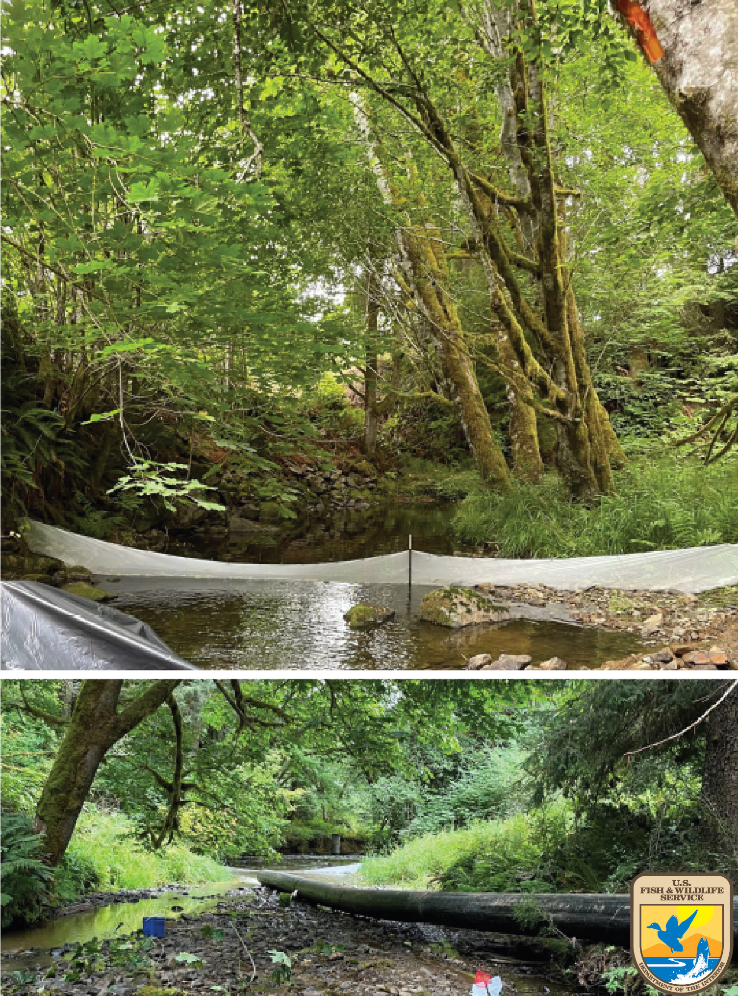 During Restoration: Up and downstream blocknets were set to create a fish exclusion zone (upper). Dewatering was via a fused pipe (lower)