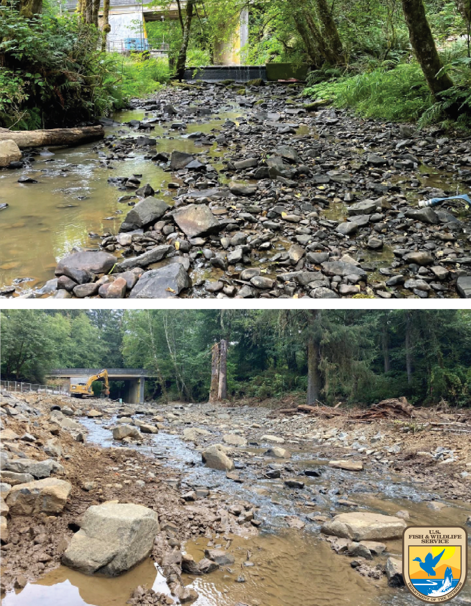 Fish Passage Restoration before (above photographed on August 10, 2022) and after (below photographed on September 14, 2022).