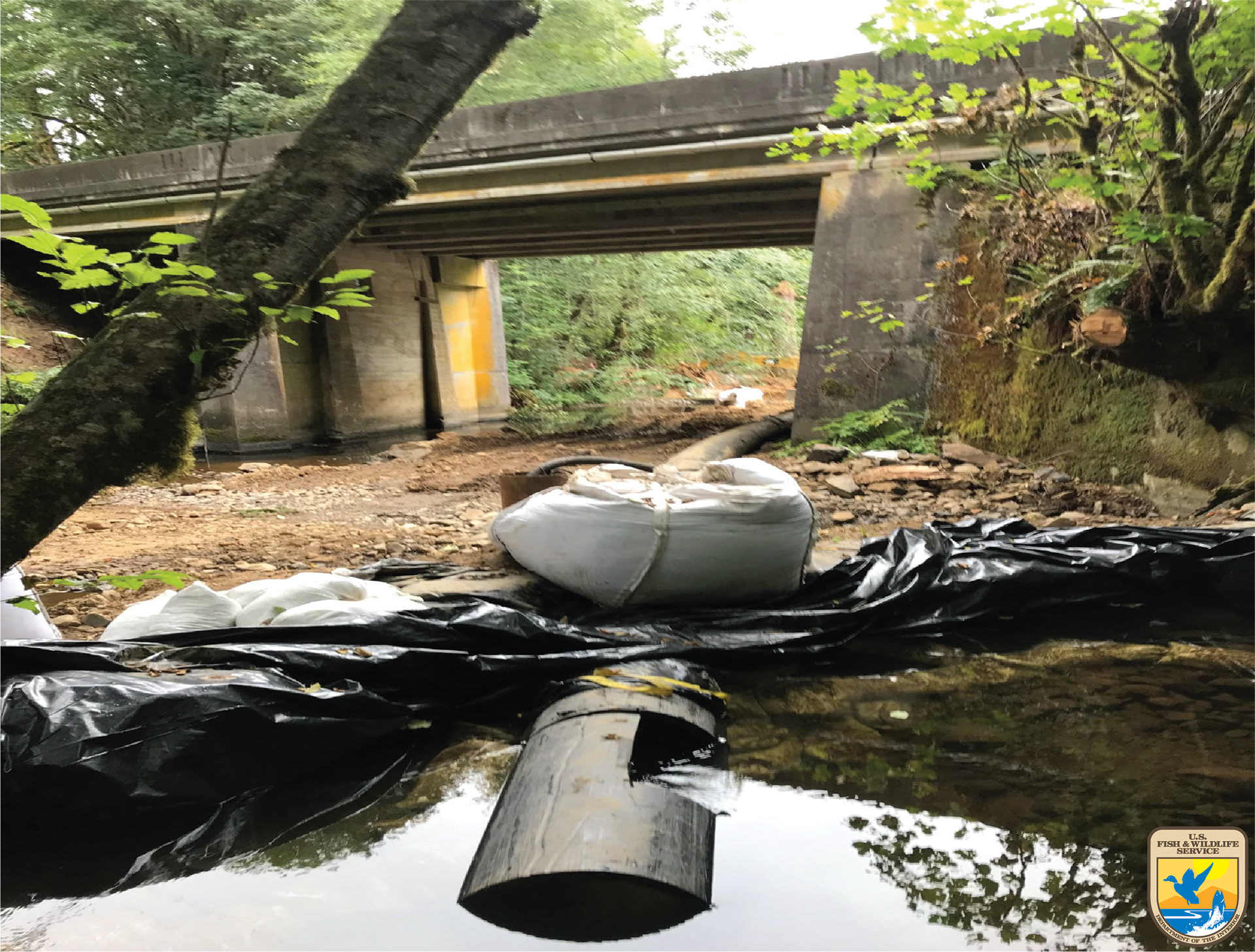 During Restoration: Upstream coffer dam (located below fish block net and within fish exclusion zone) and a gravity feed into a fused pipe that moved fresh water to the stream below the construction zone.