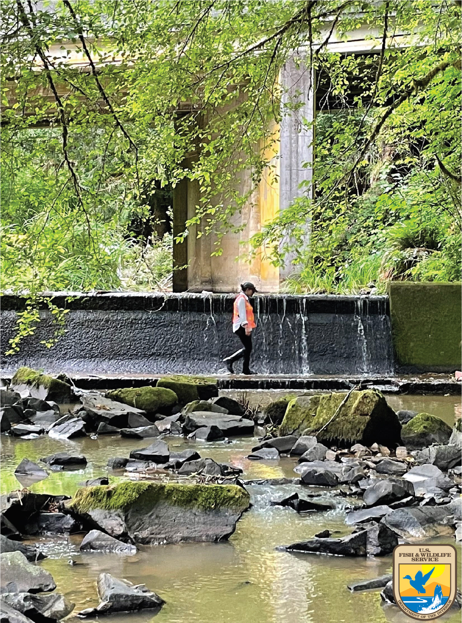 Prior to Restoration: Diversion Dam 3 with ODOT 202 abutment in the background during fish salvage phase.