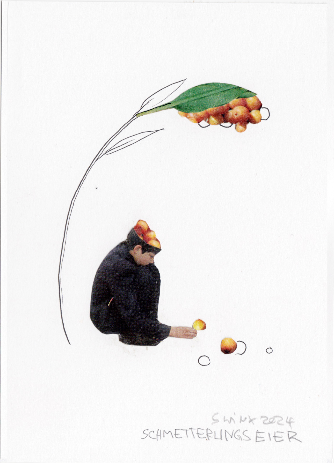 Schmetterlingseier,  13 x18 cm, Collage auf Papier