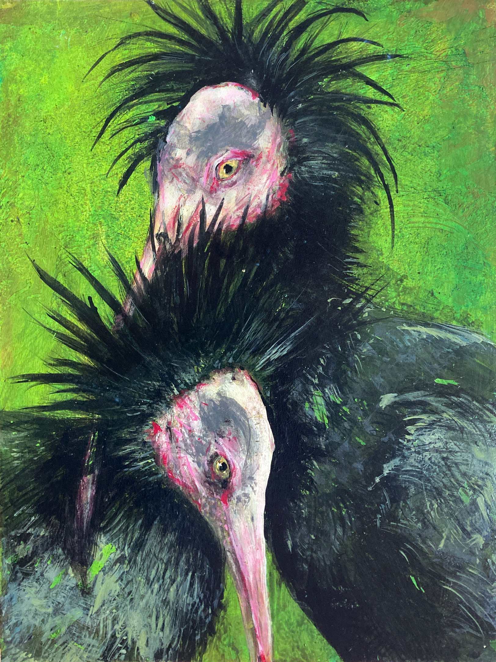 doppelter Waldrapp (für Sascha), 30 x 40cm, Acrylfarbe auf Holz