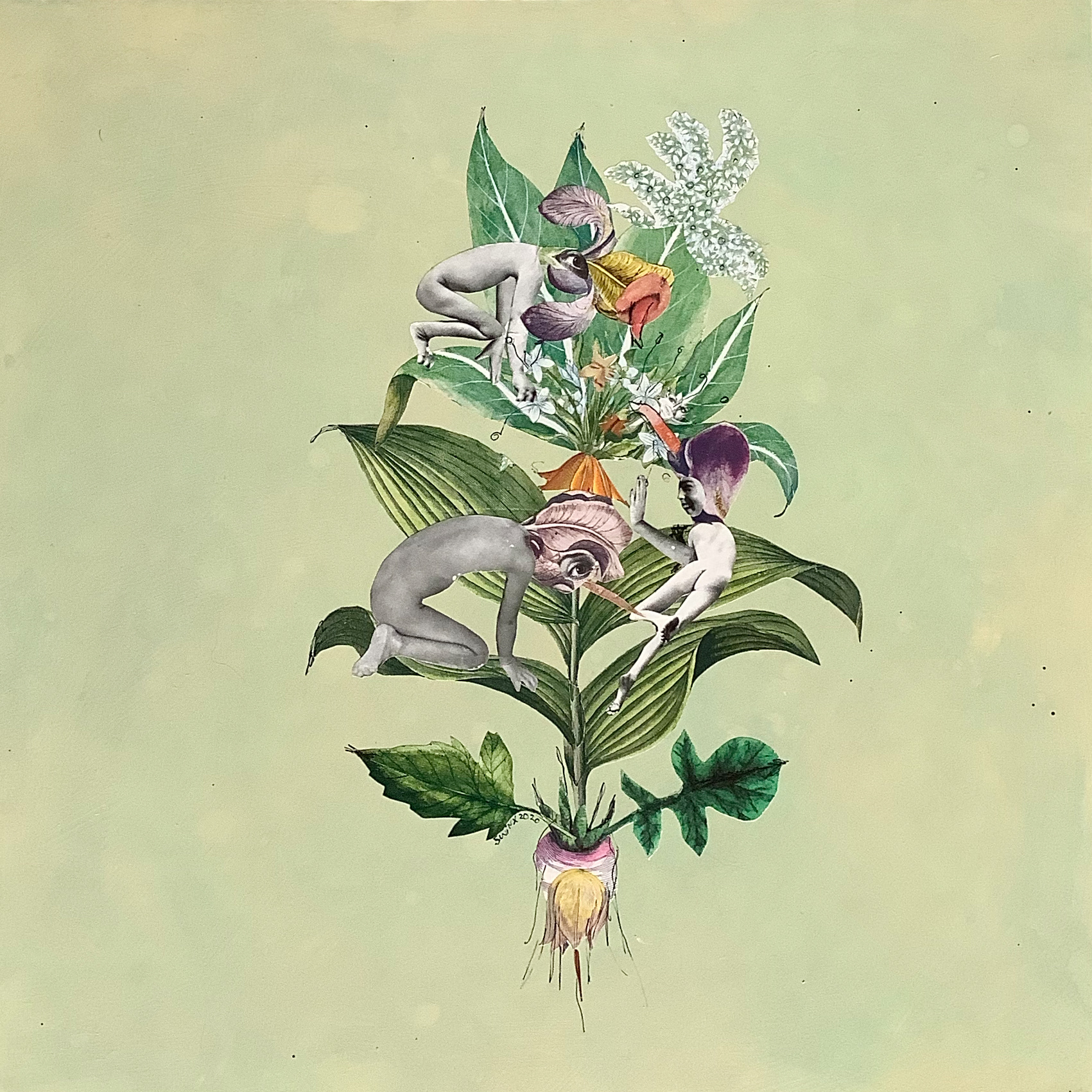 expedition_nova_01, 50 x 50, Collage auf Holz 