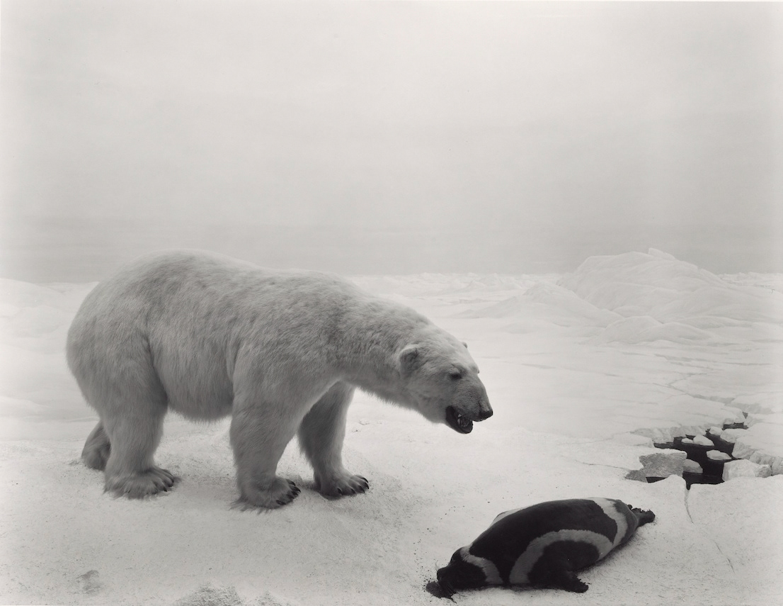 Hiroshi Sugimoto