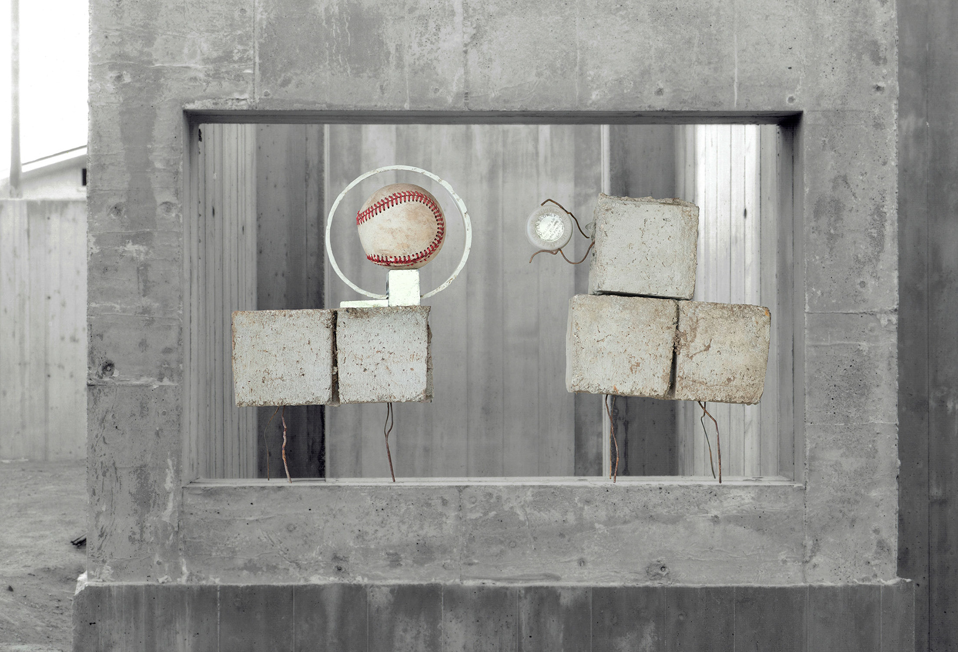 All Creatures in Concrete Pastures