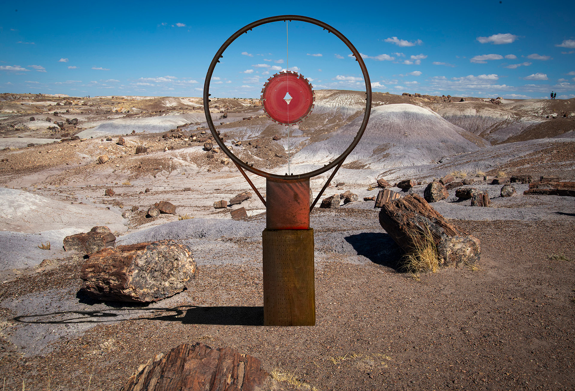 Petrified Dreams in-the Painted Desert