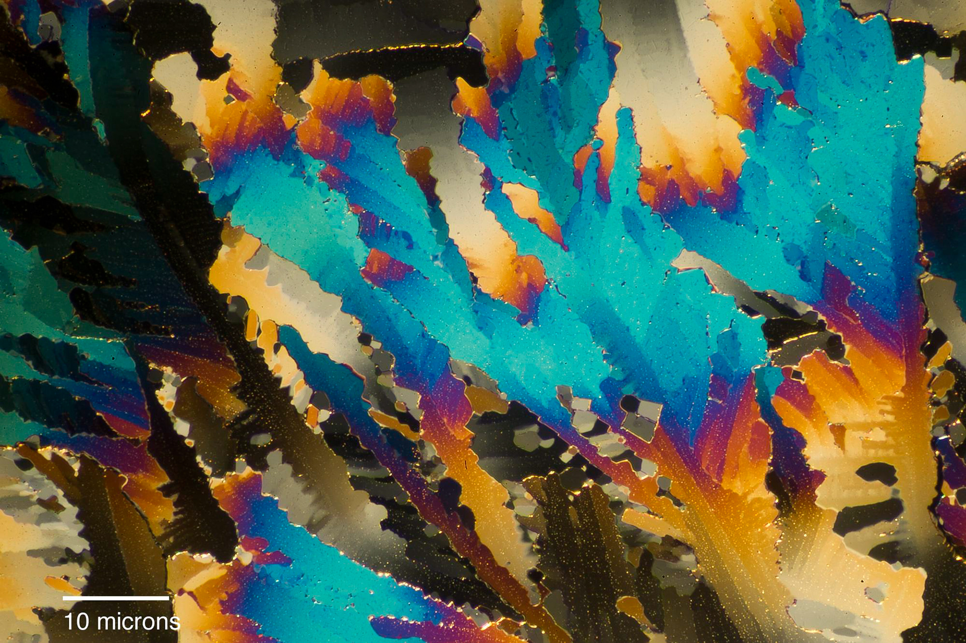 Polarized Ureaic Acid