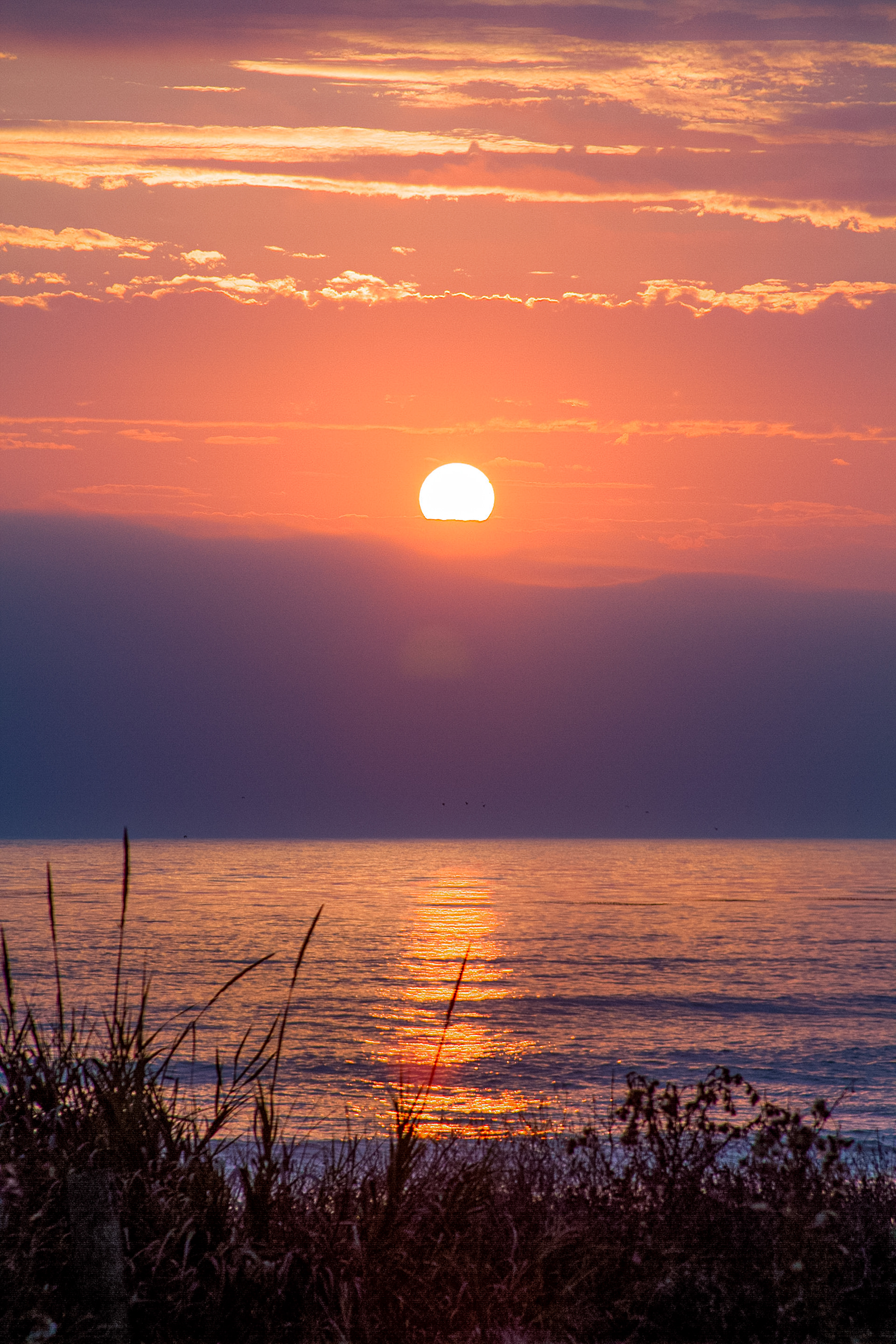 Cambria, California