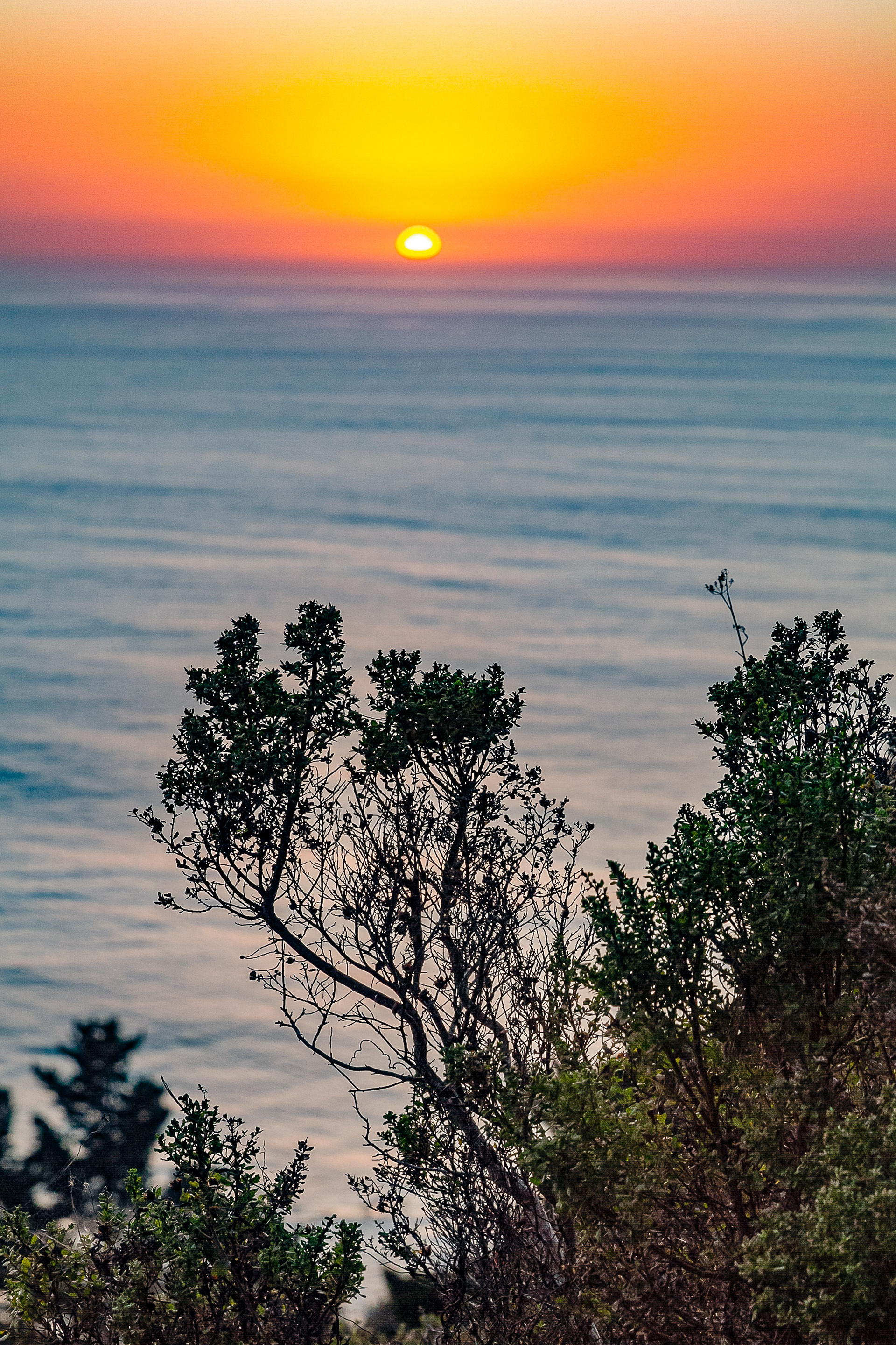 Big Sur, California