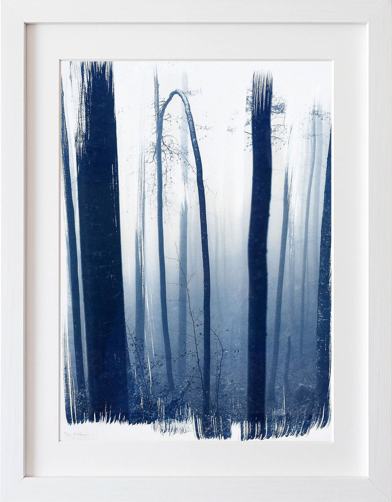 Nebelwald am Kranzhorn 50 x 70 cm