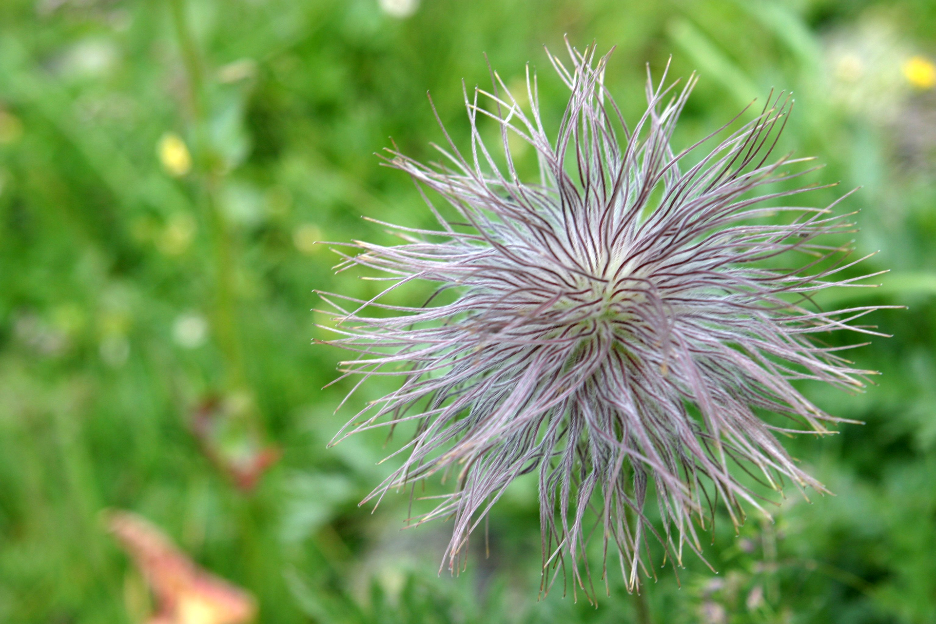 Hula Valley, Northern Israel