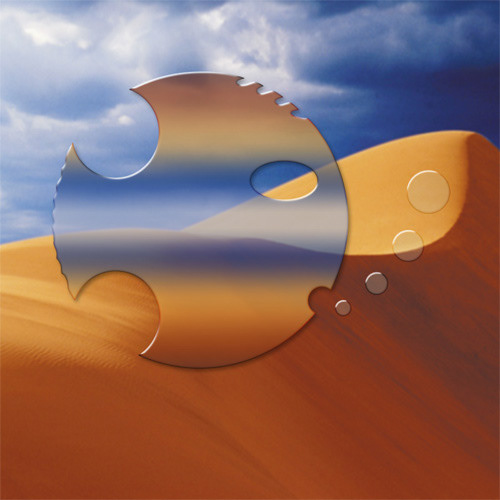 Desert Fish