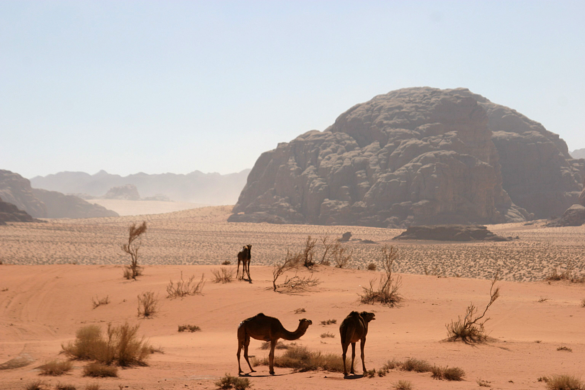 Wadi Rum, Jordan