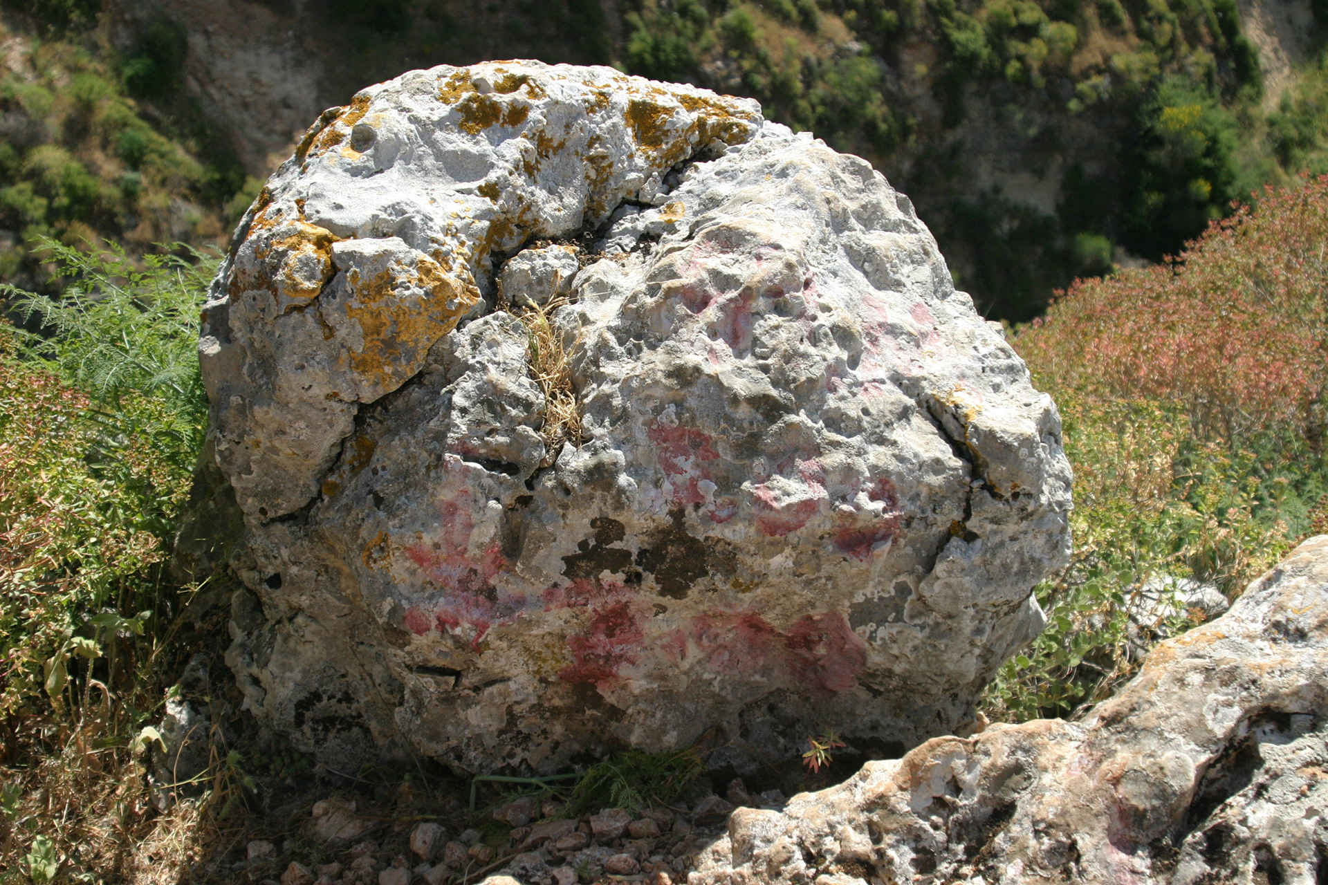 Hula Valley, Northern Israel