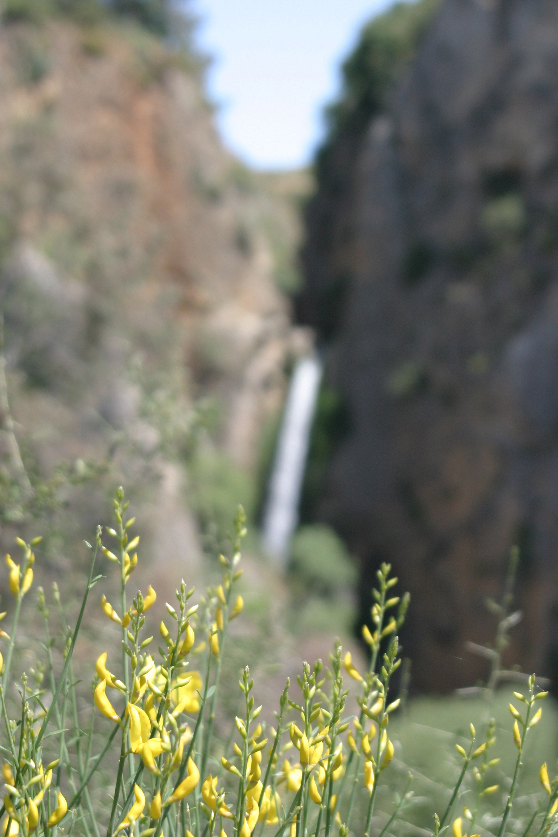 Hula Valley, Northern Israel