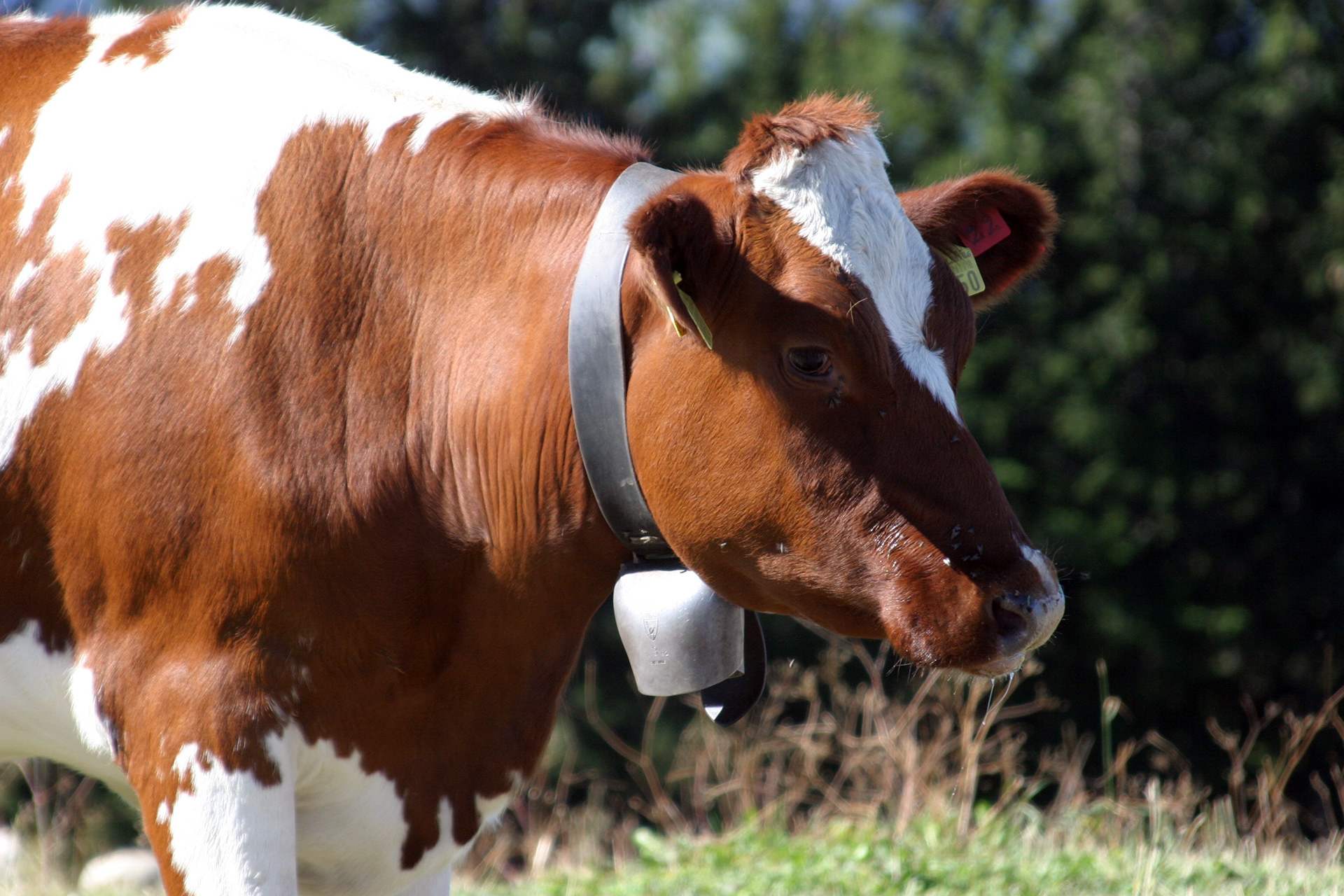 Lausanne, Switzerland