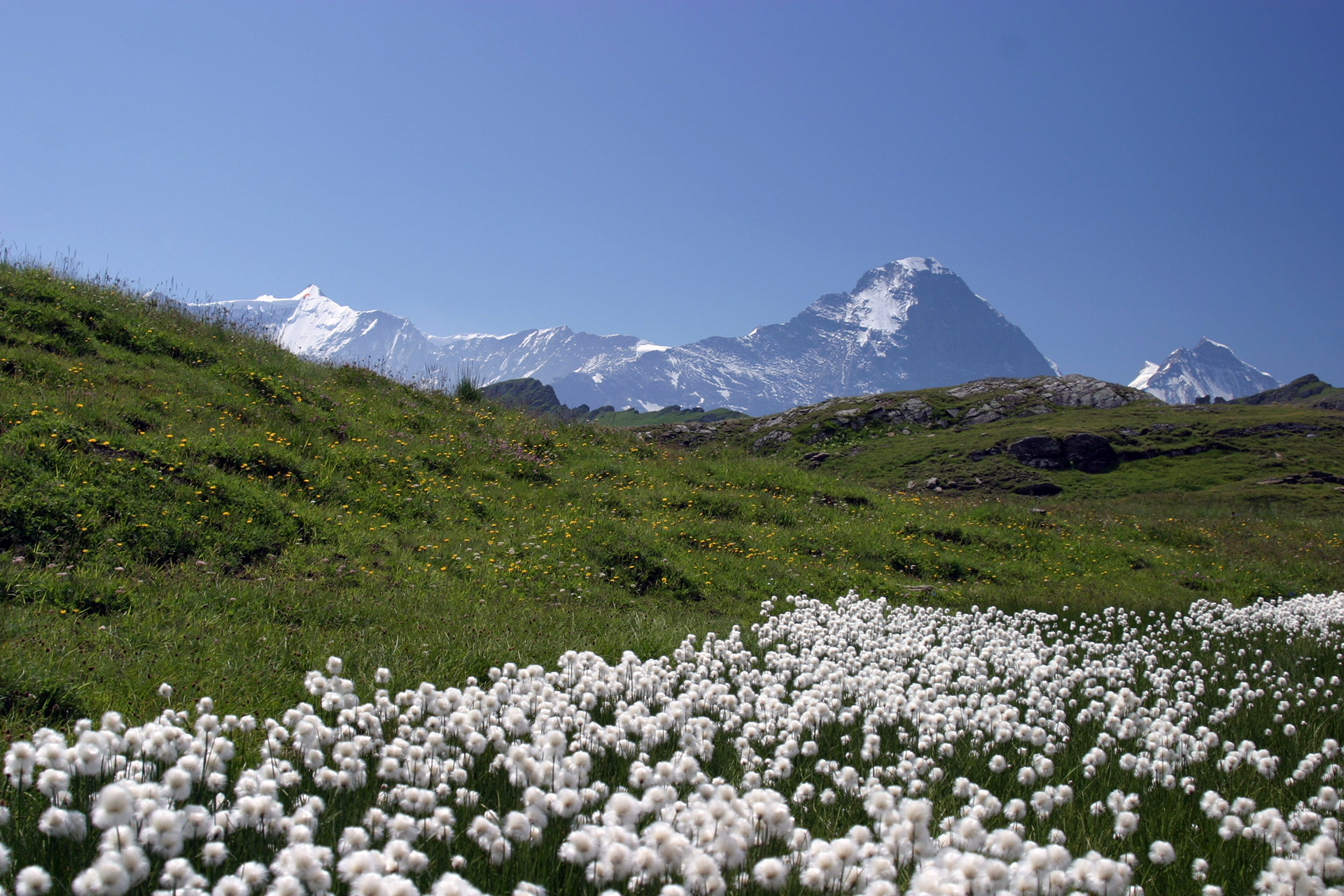 Buchalpsee, Switzerland