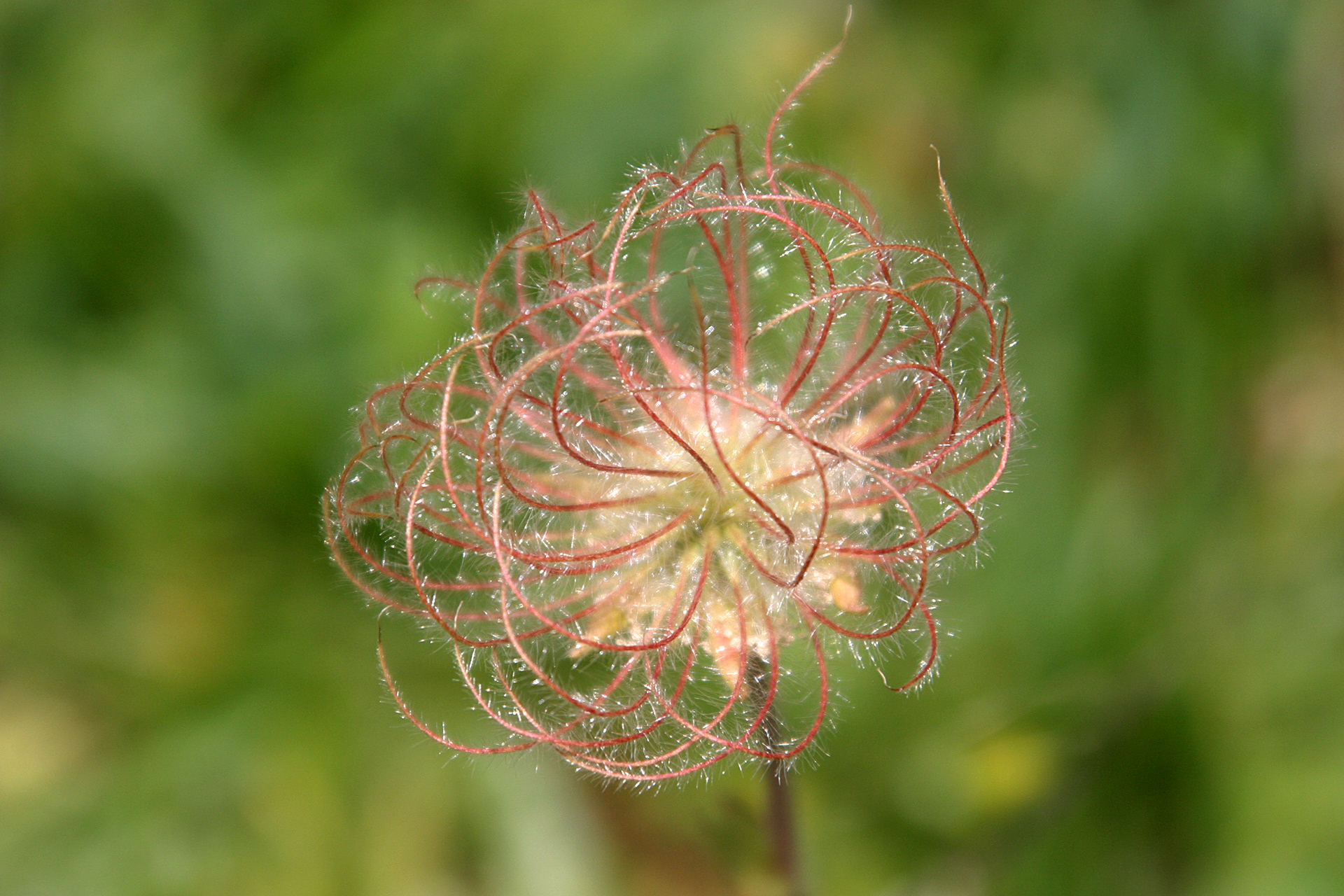 Hula Valley, Northern Israel