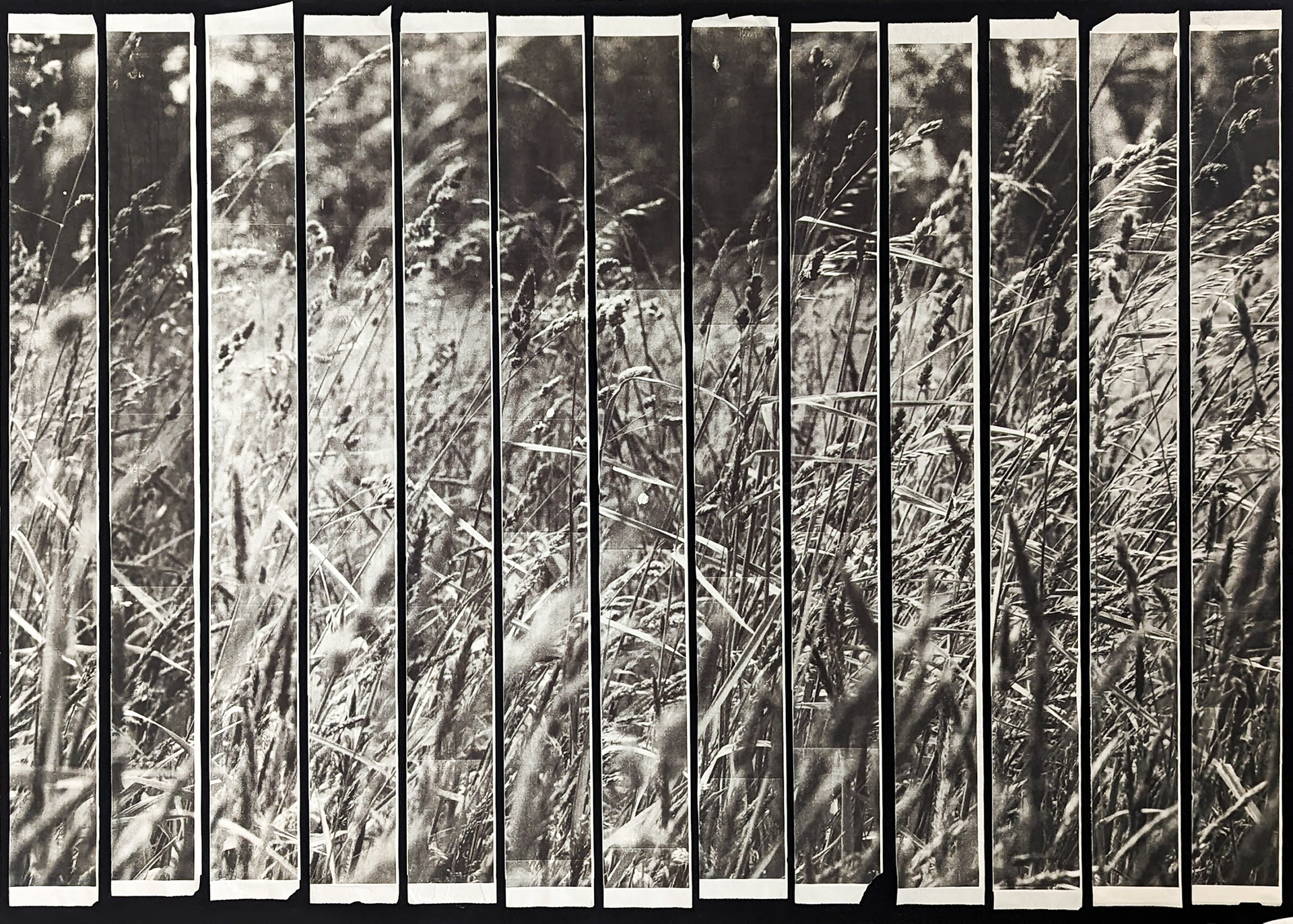 Untitled (Grain on Receipt Paper), 2023