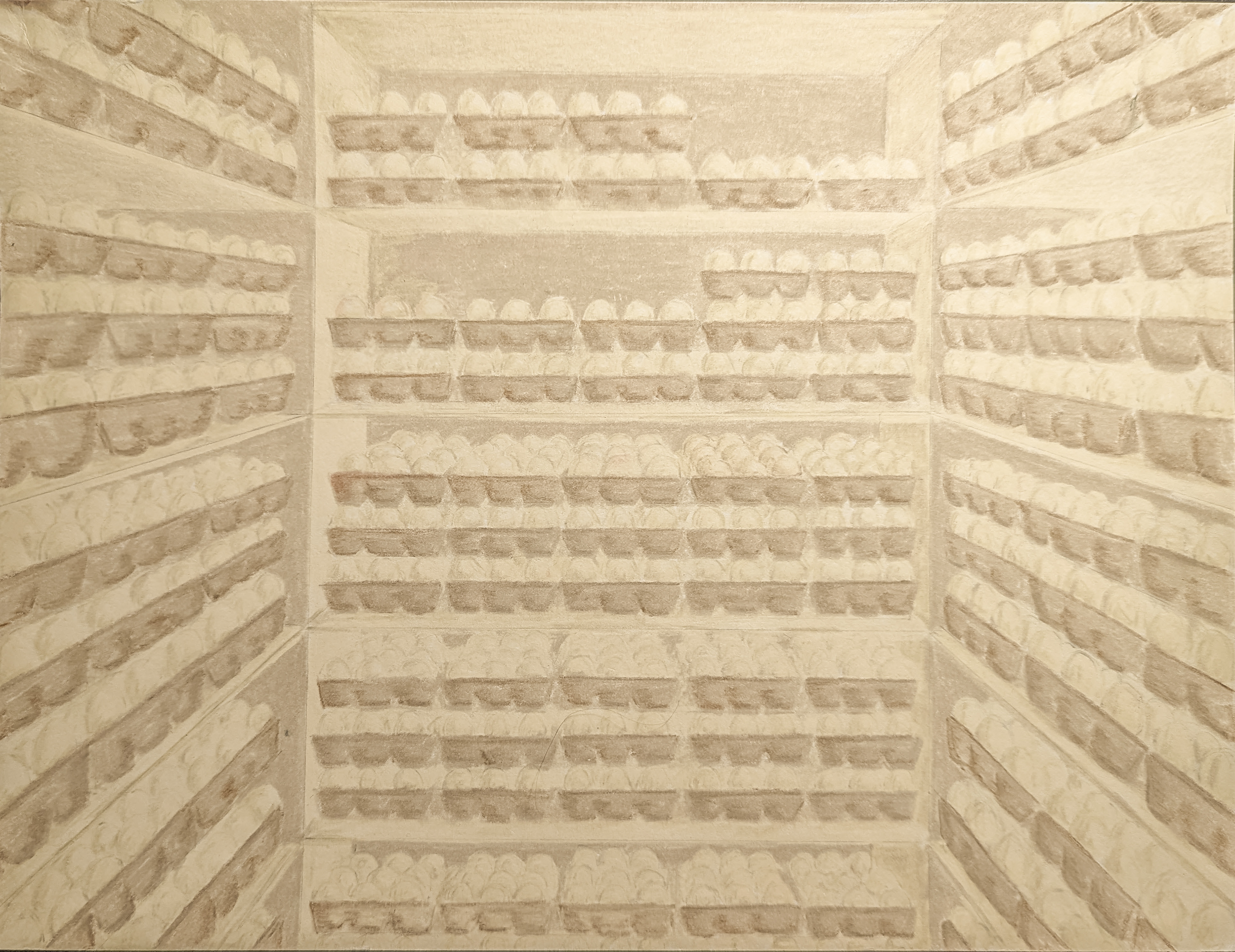 Egg Cupboard, 2022