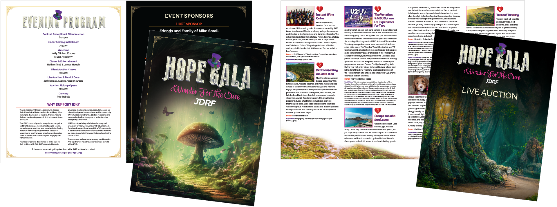 Event program and live auction items booklets.