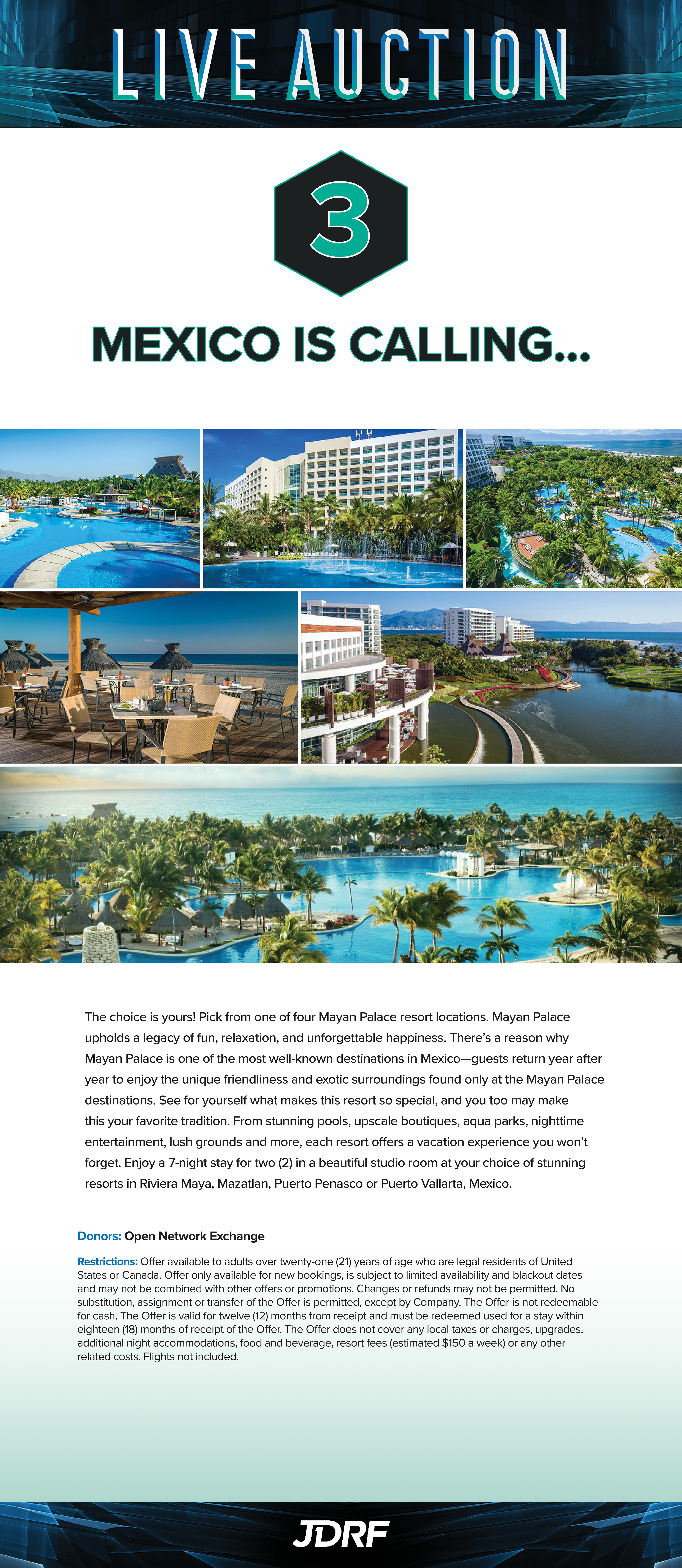 Print | Live auction item description for cocktail reception