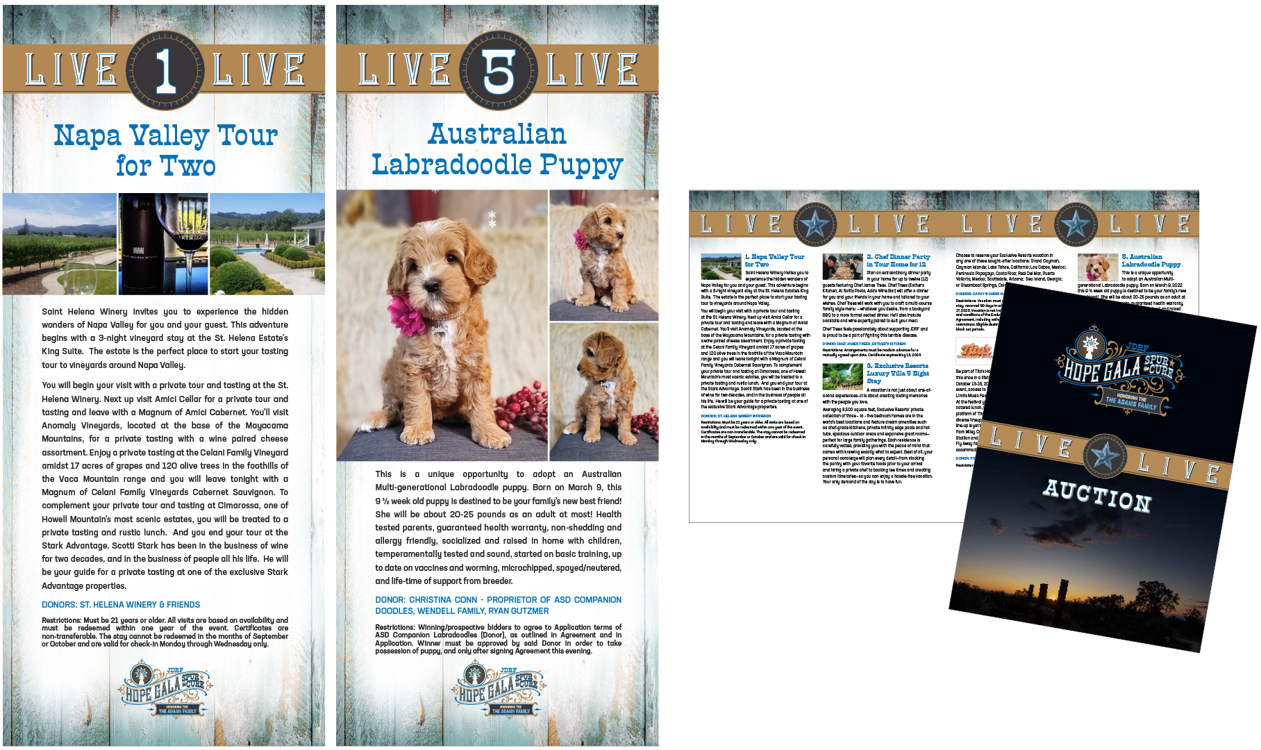 Live auction stage signs and items booklet.