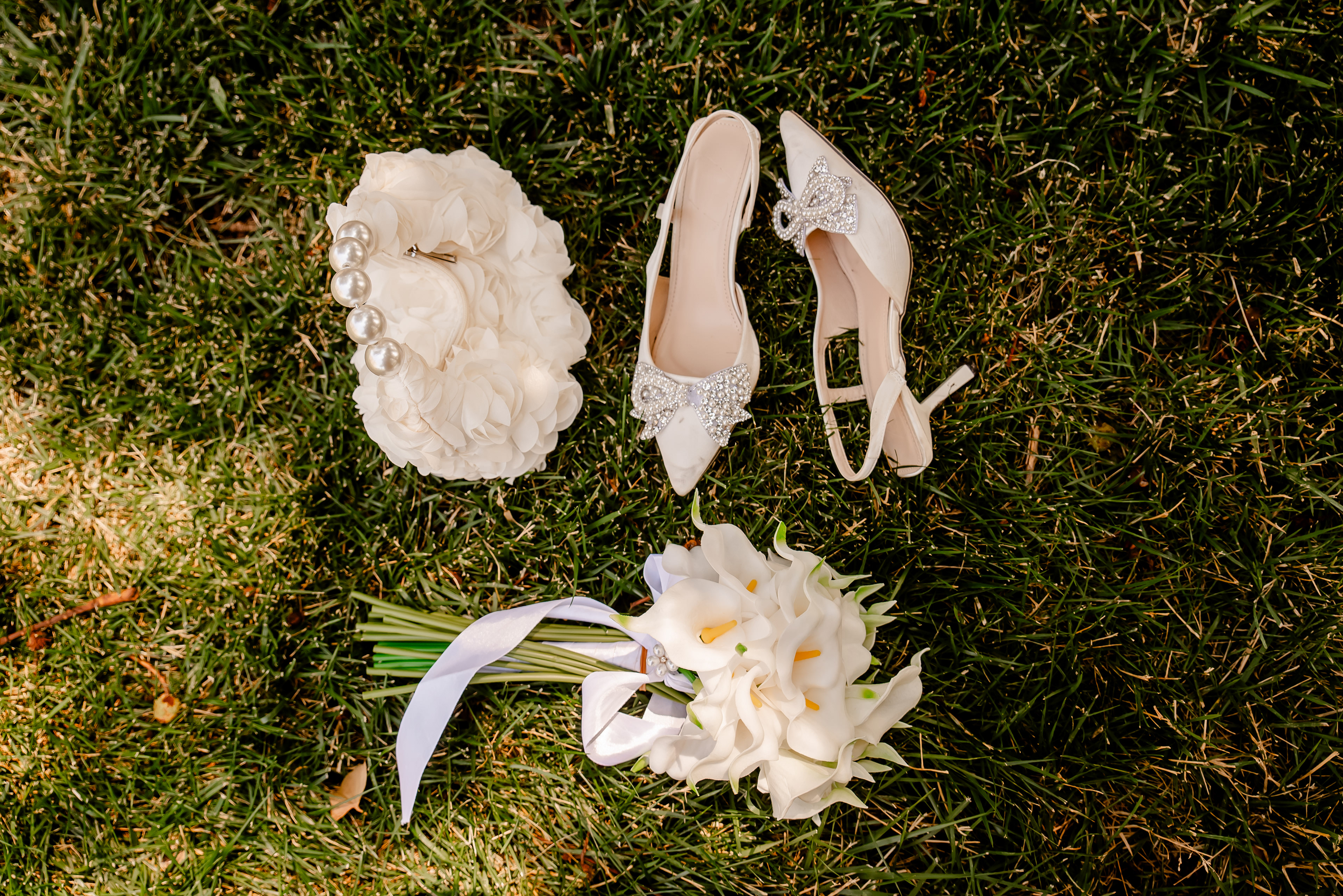 Toledo Courthouse Wedding Photographer