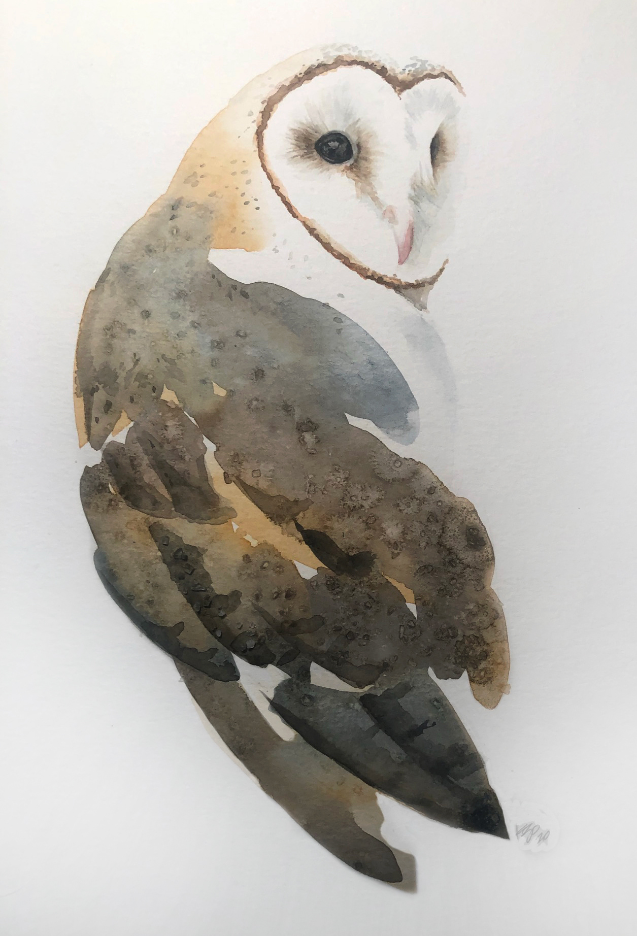 Owl for Ann