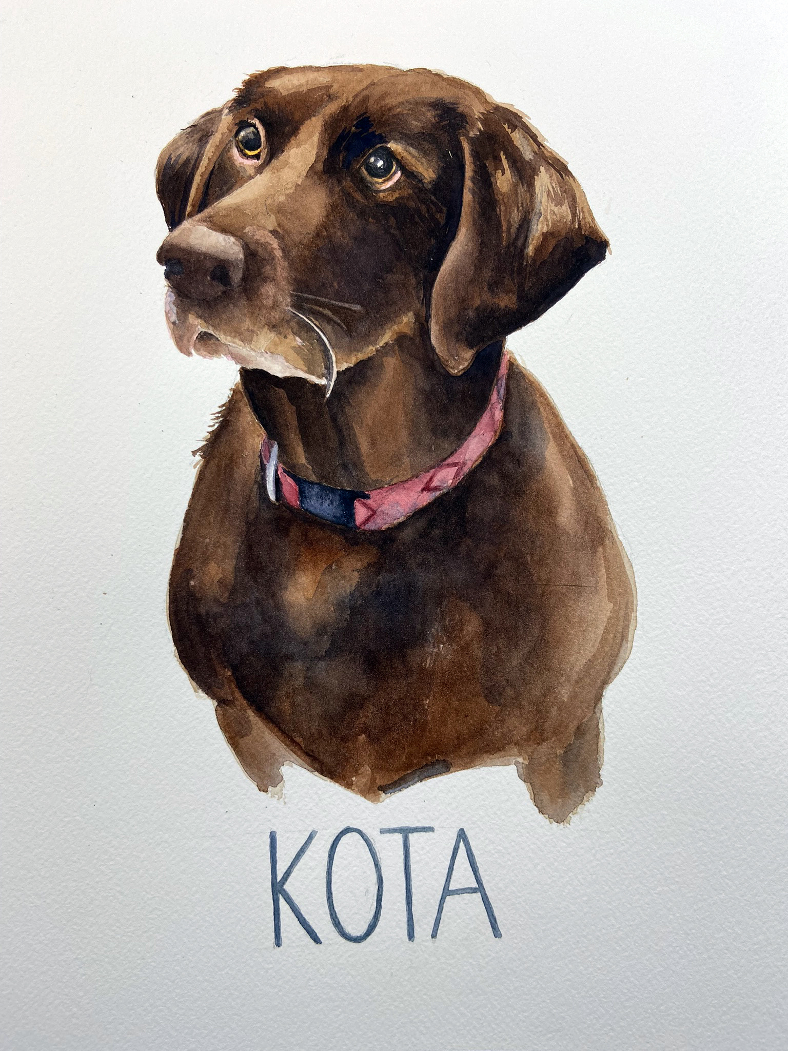 Kota
