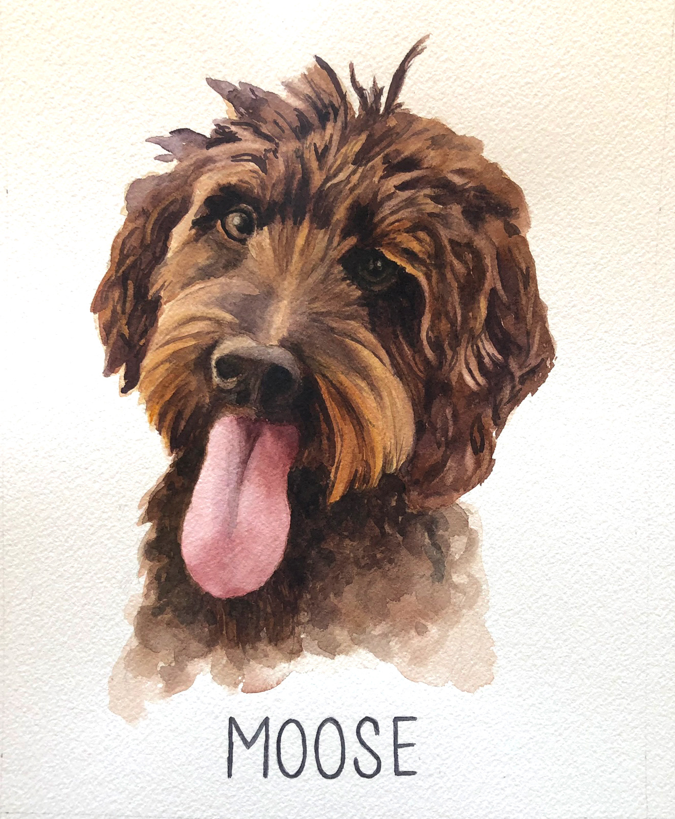 Moose