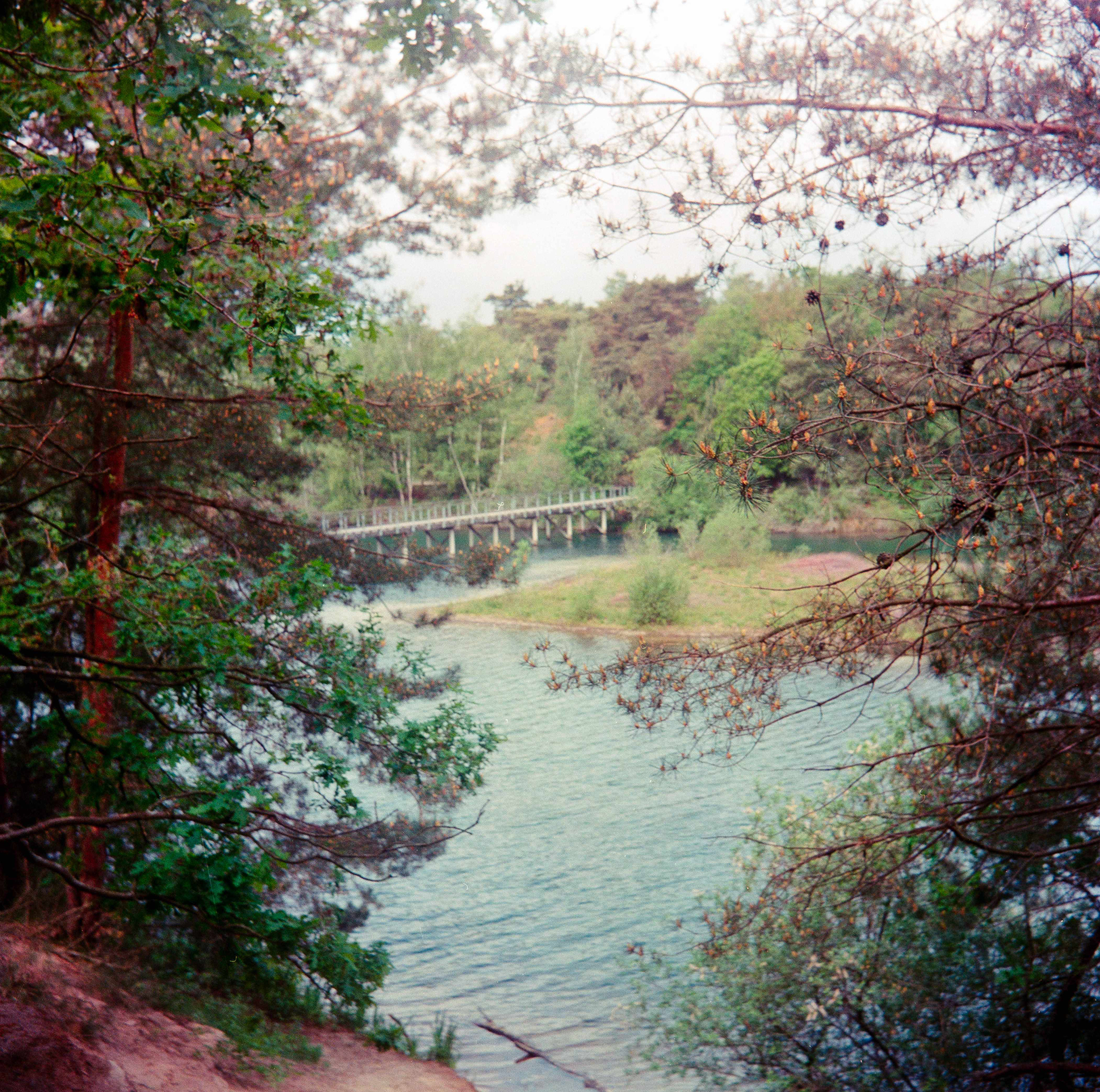 Eigen werk Nov 2022 (Medium Formaat)