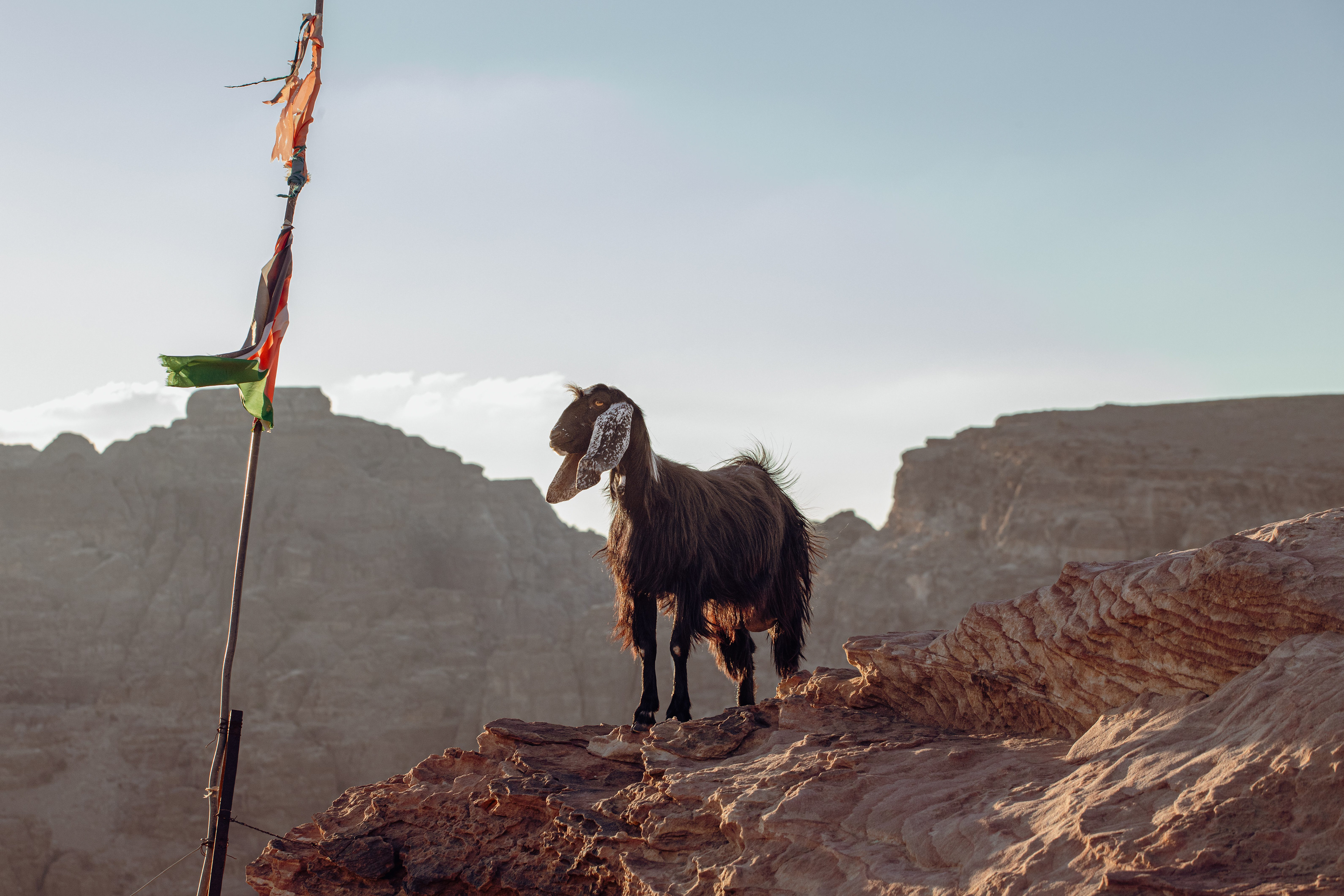 Rondreis Jordanië Okt 2023