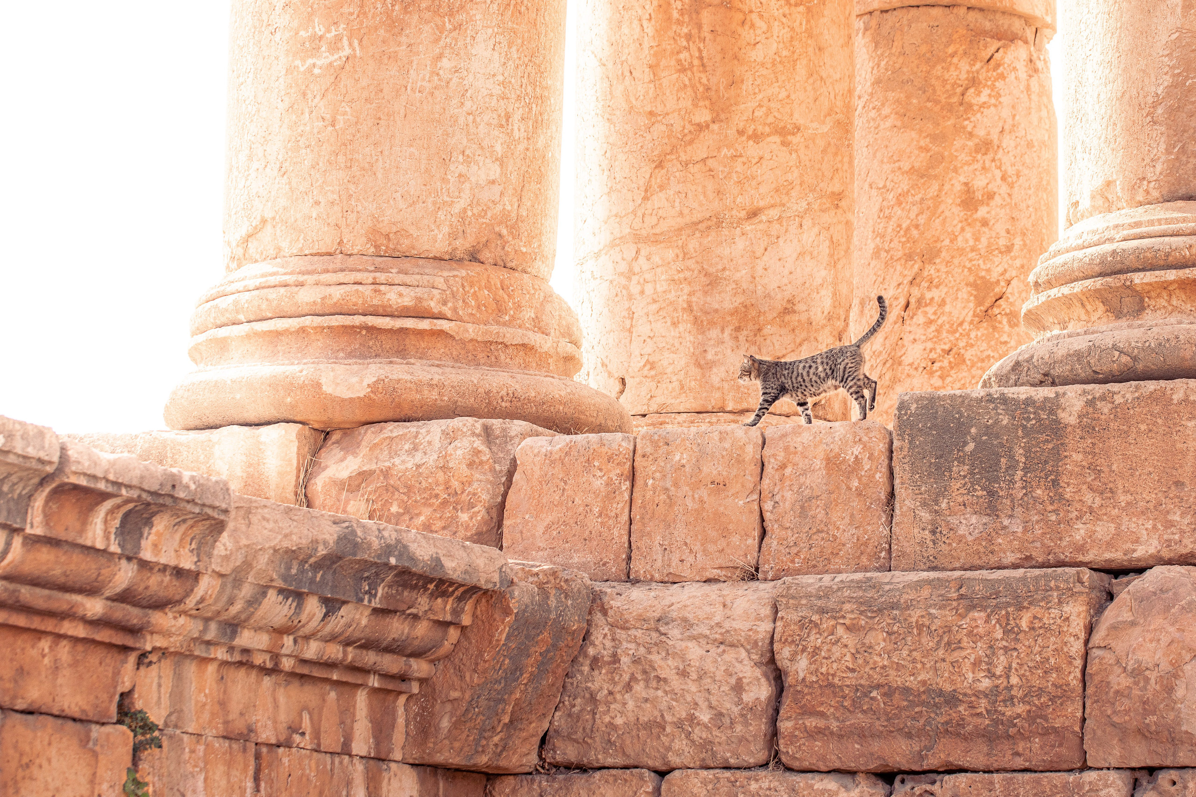 Rondreis Jordanië Okt 2023